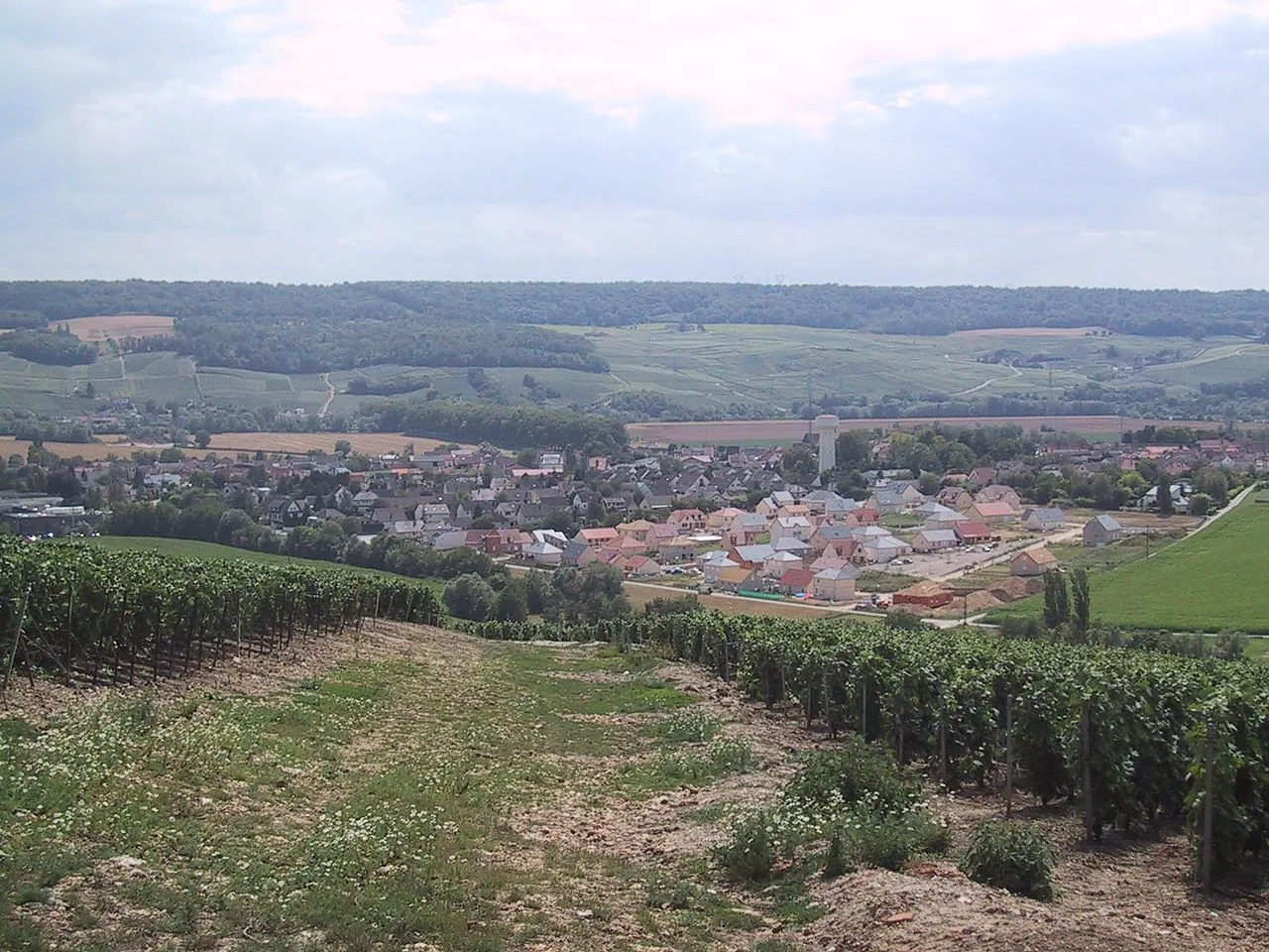 Vue de Damery