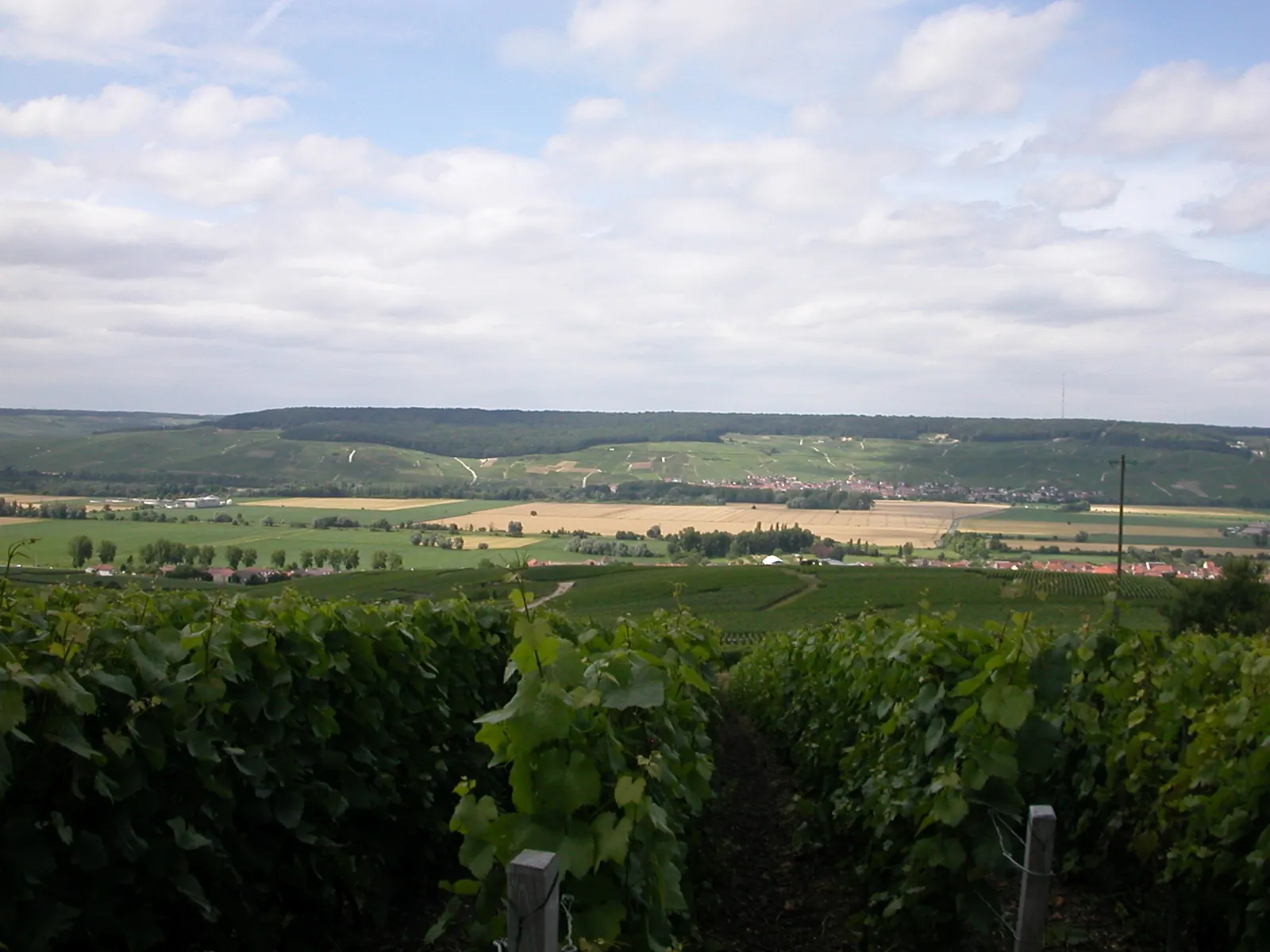 Vue de Mardeuil
