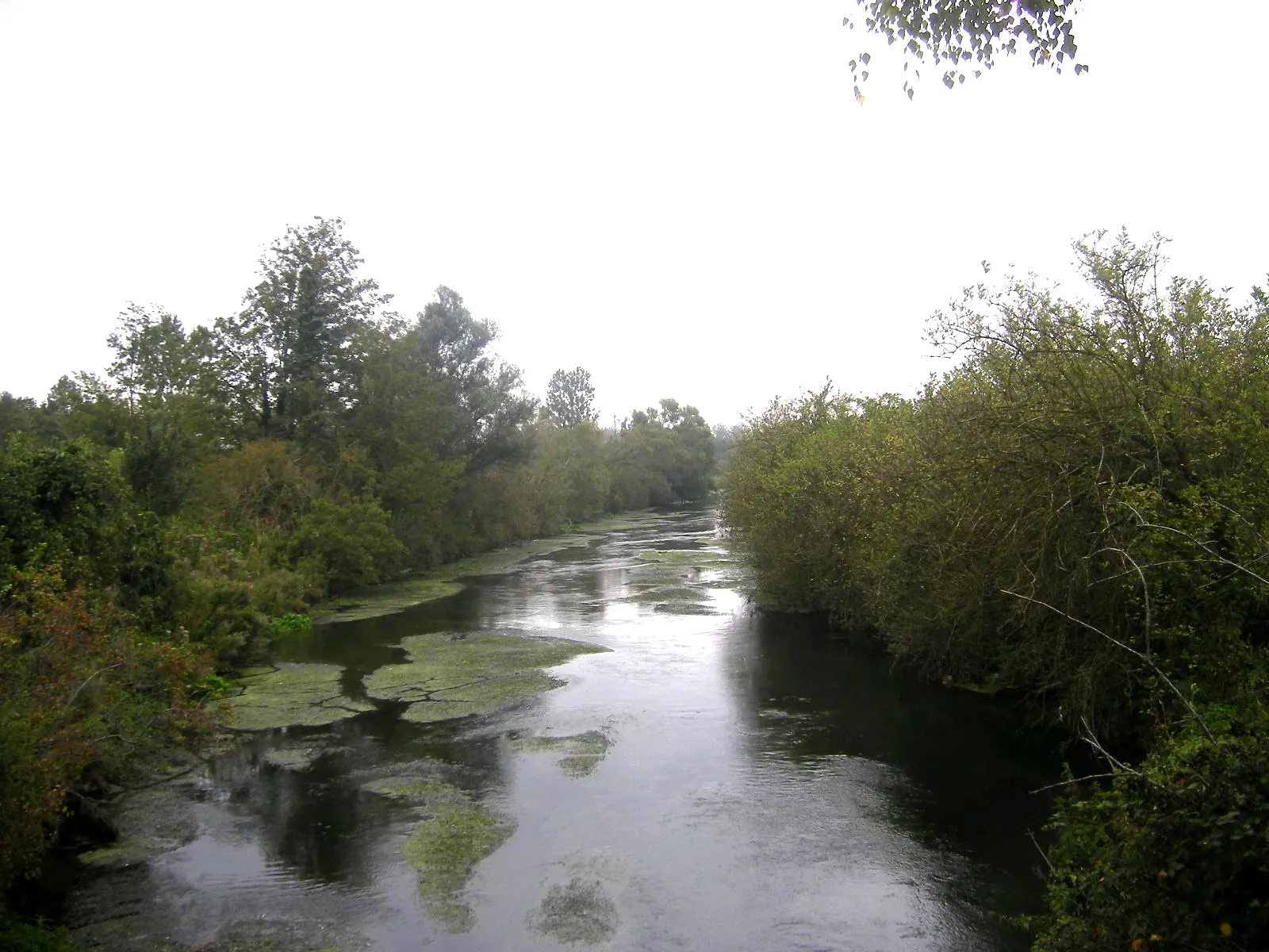 Vue de Val-de-Vesle