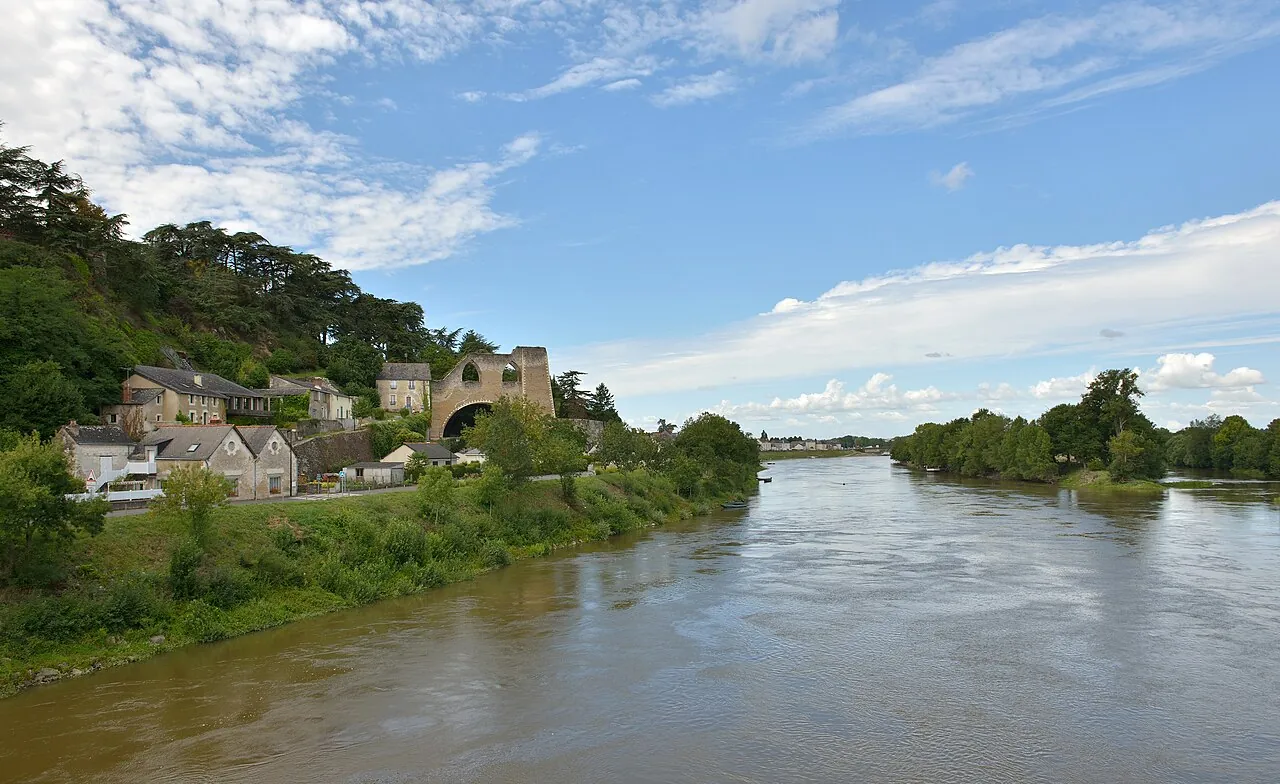 Vue de Montjean