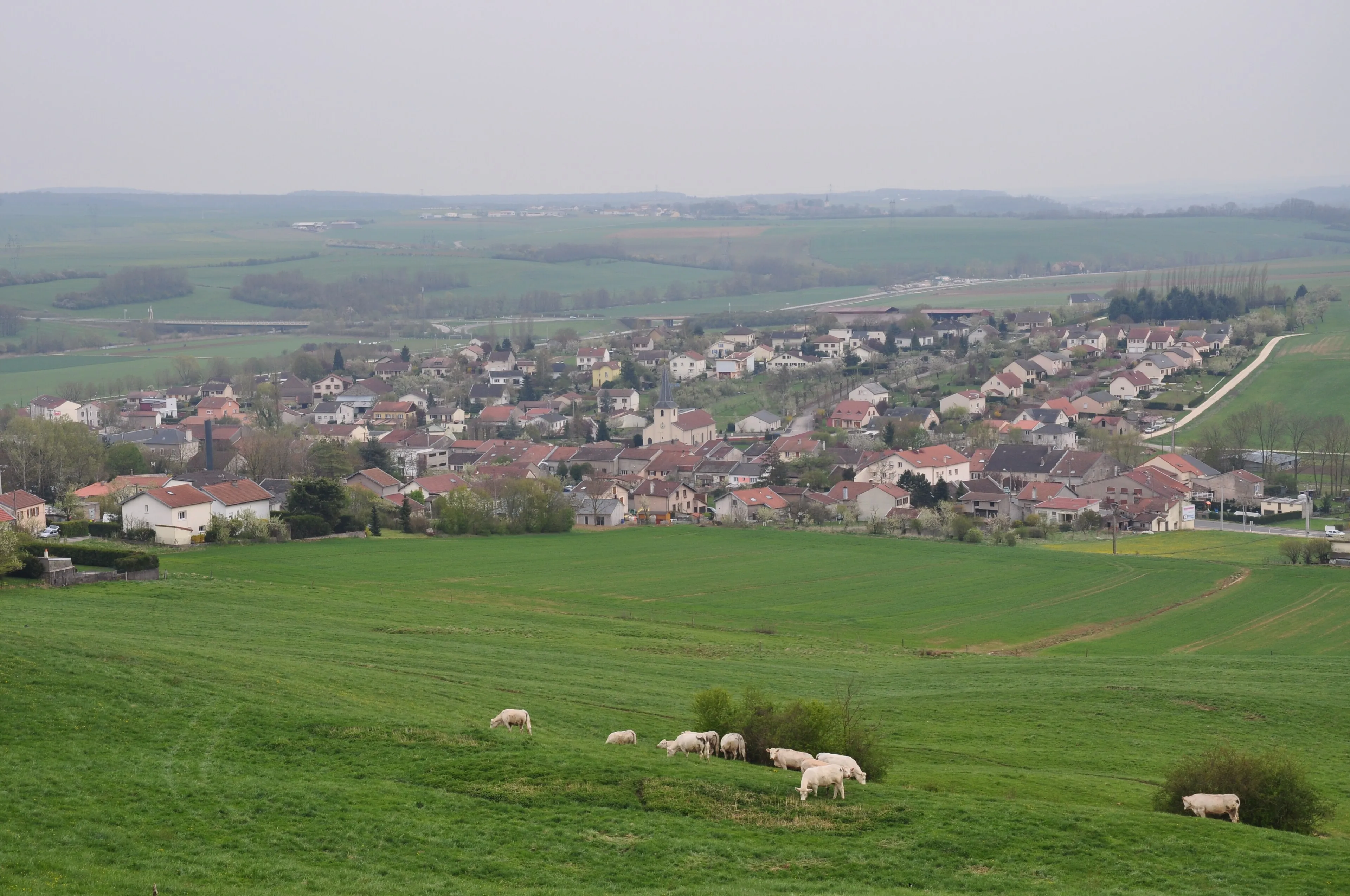 Vue de Bainville-sur-Madon