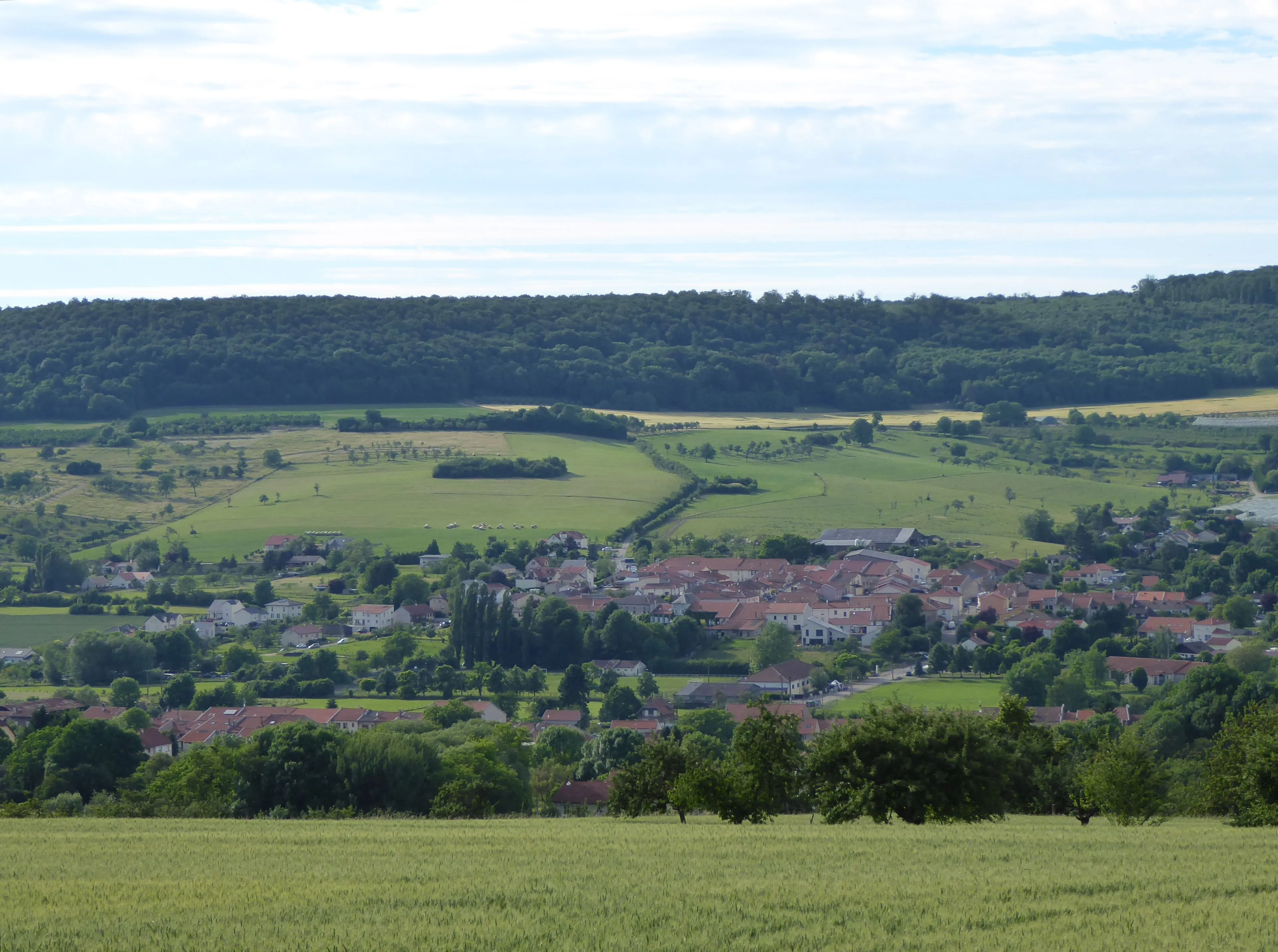 Vue de Faulx