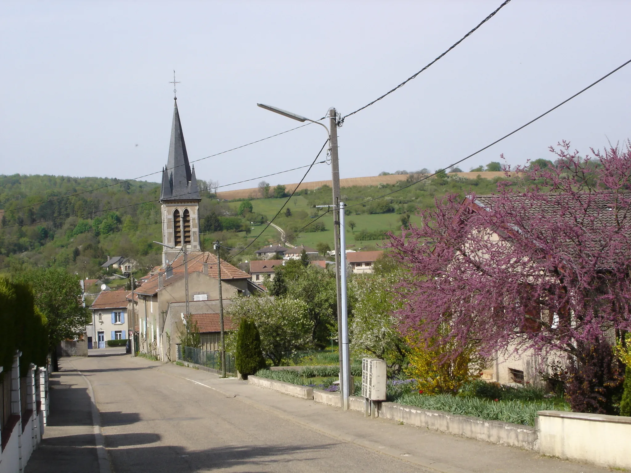 Vue de Montauville