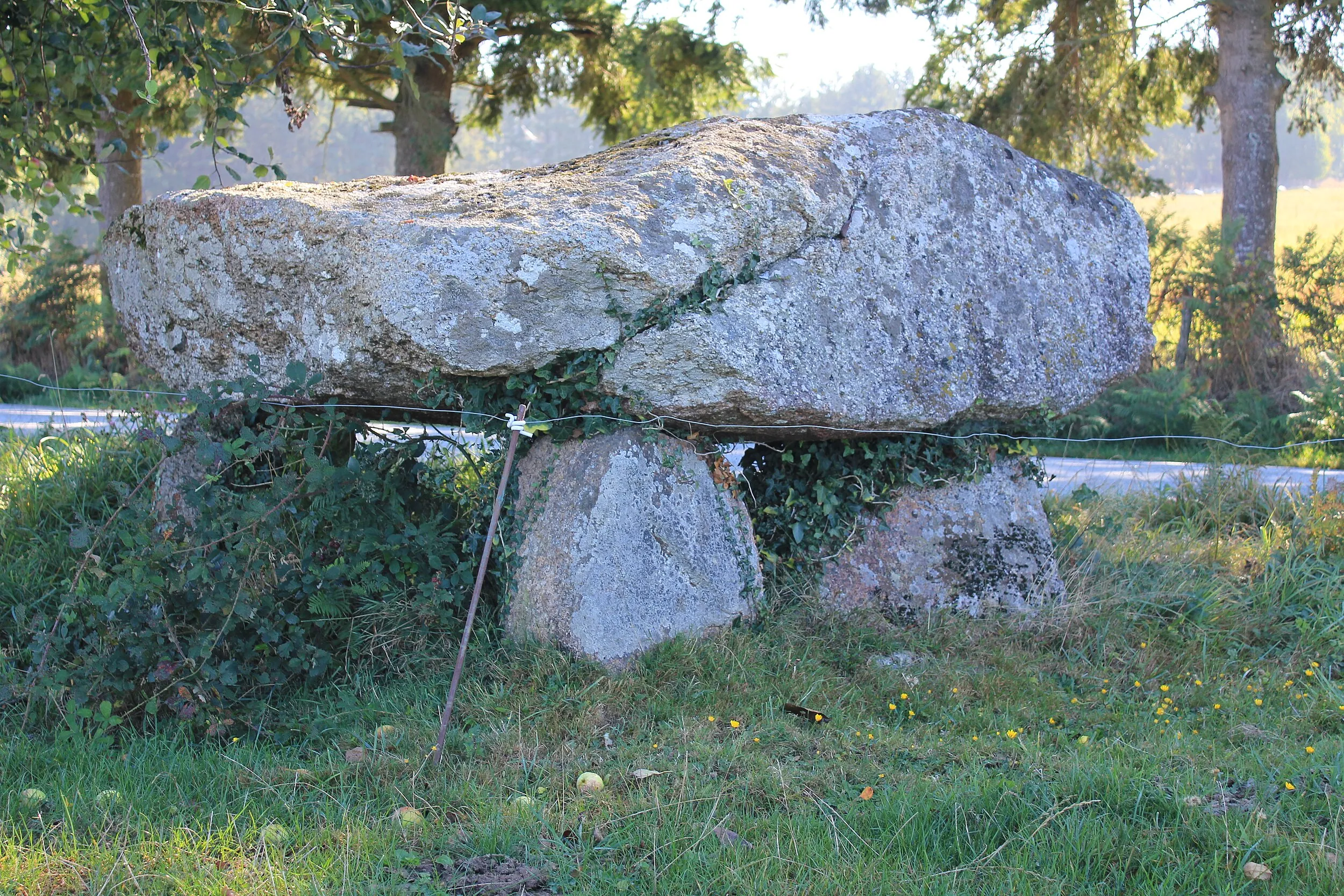 Vue de Moustoir-Ac