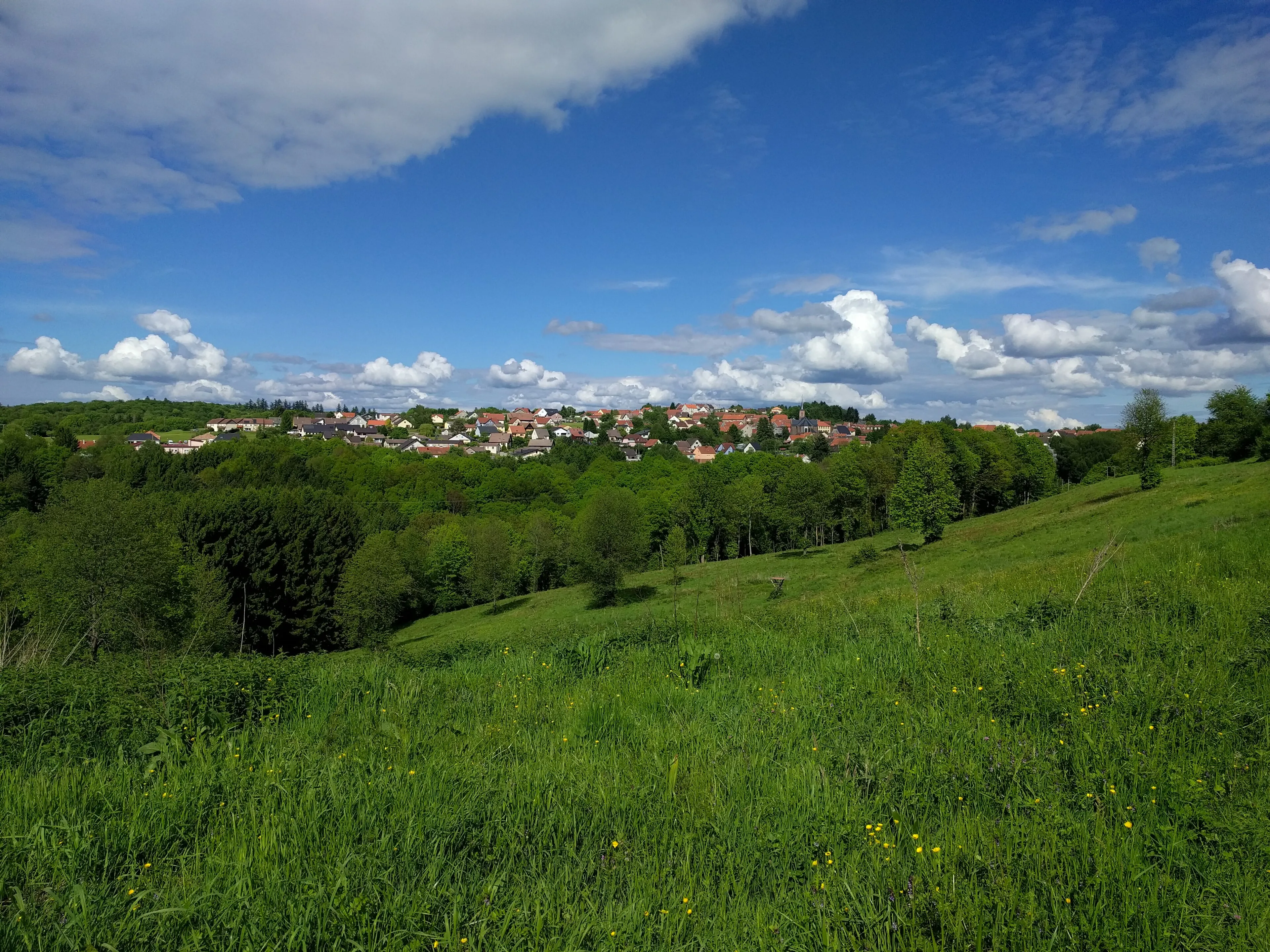 Vue de Lemberg
