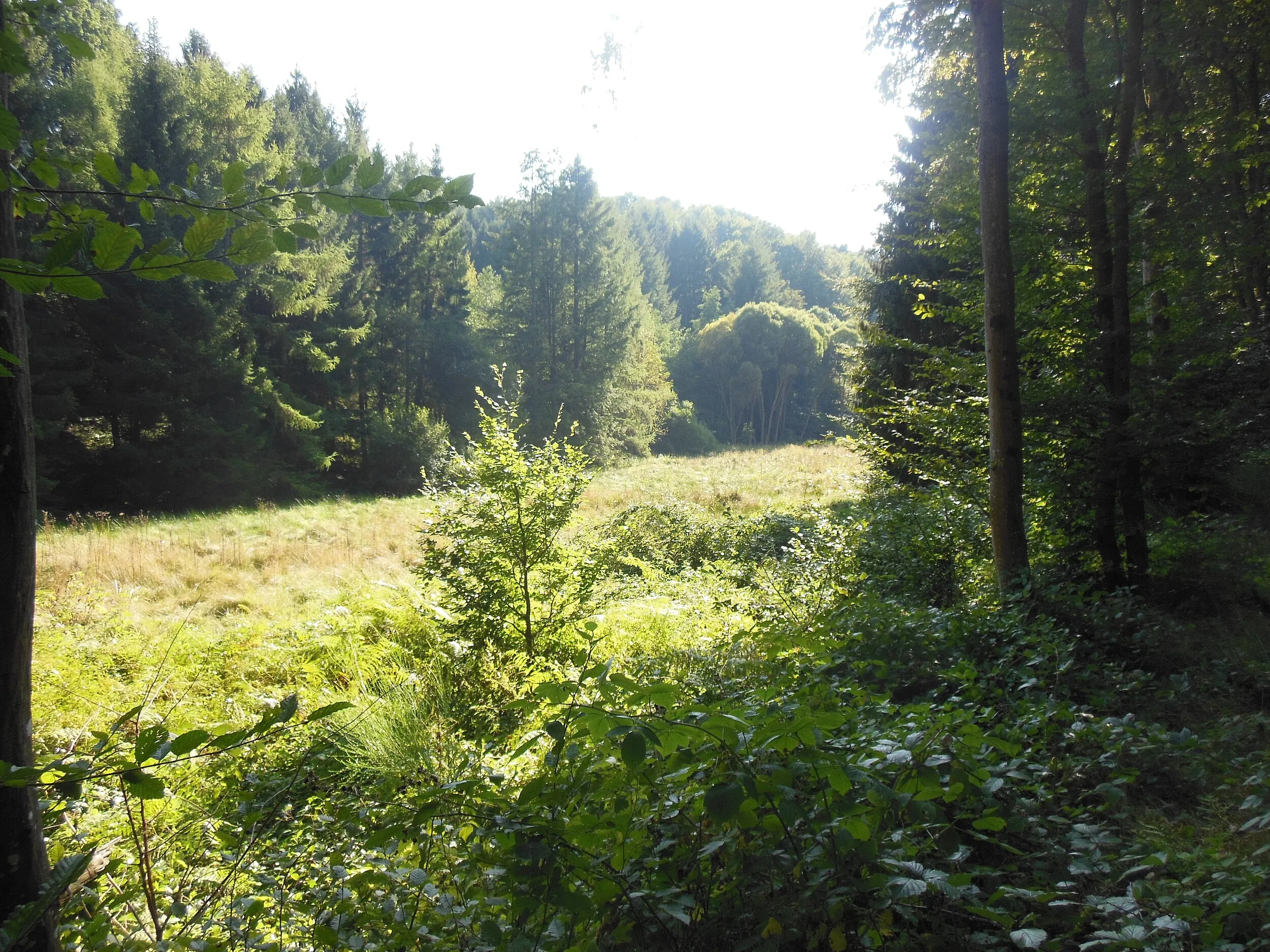 Vue de Montbronn