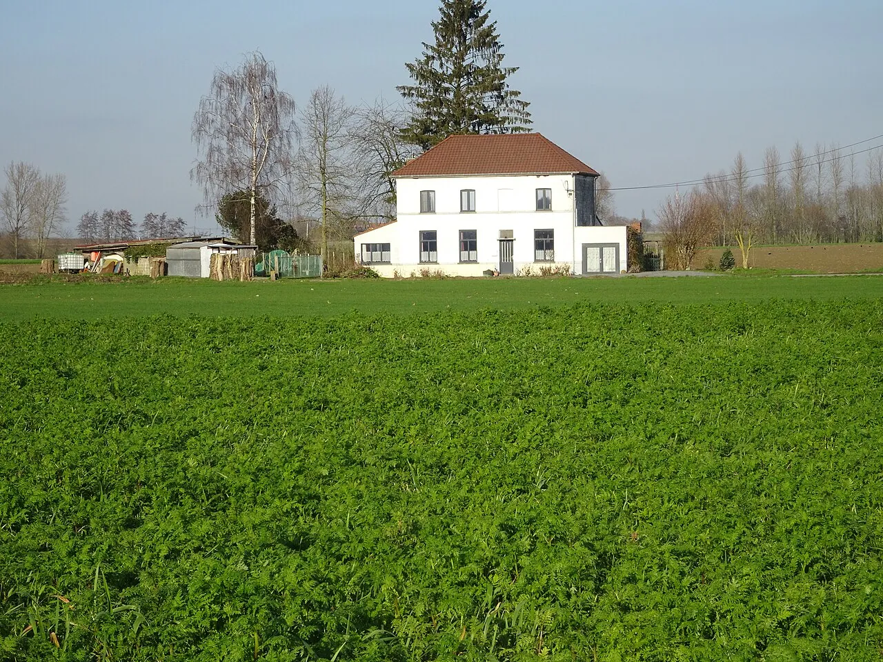 Vue de Bachy