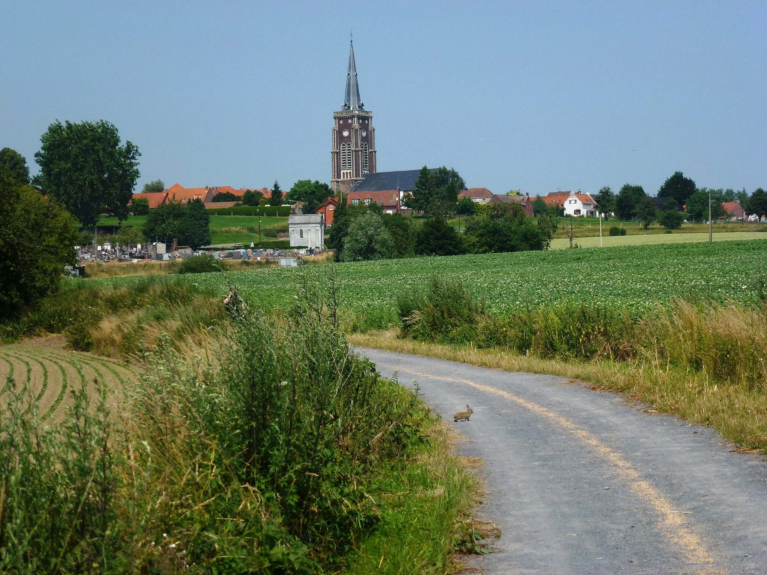Vue de Mons-en-Pévèle