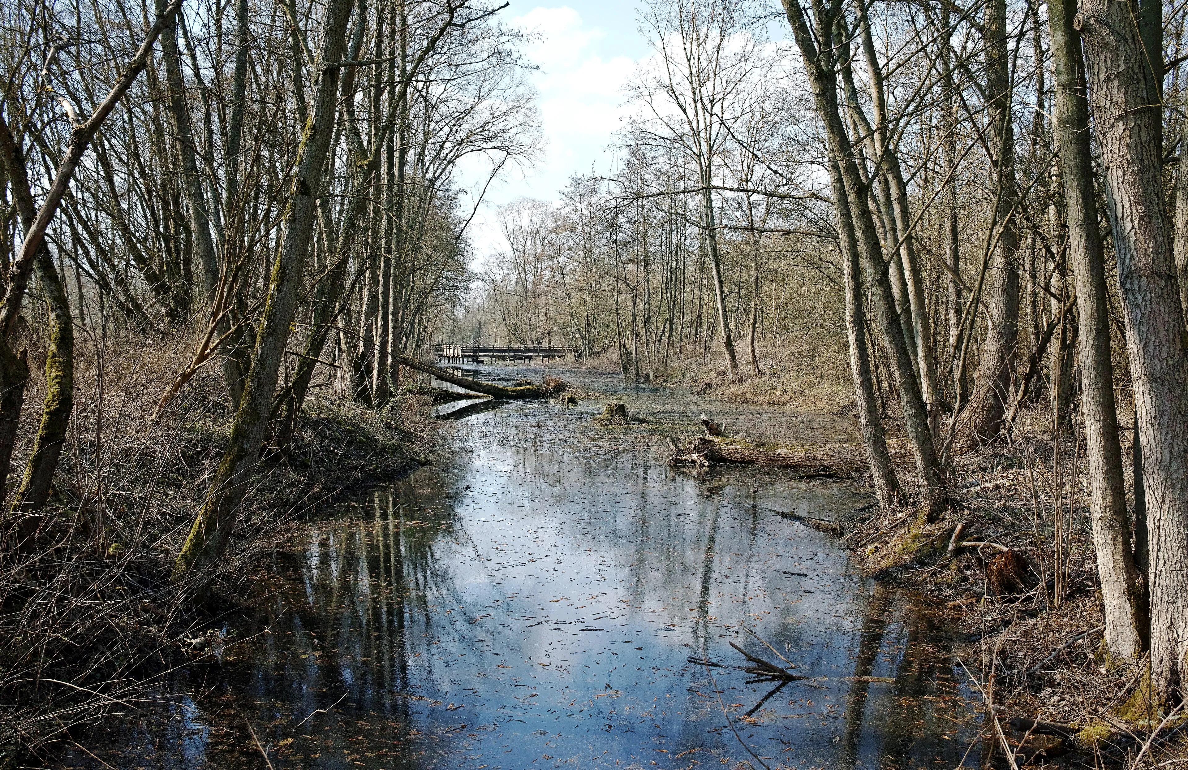 Vue de Péronne-en-Mélantois
