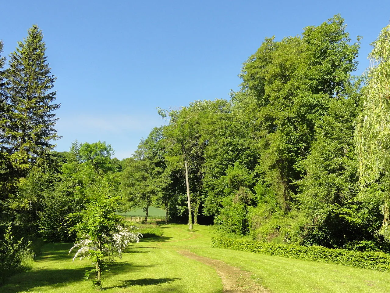 Vue de Angicourt