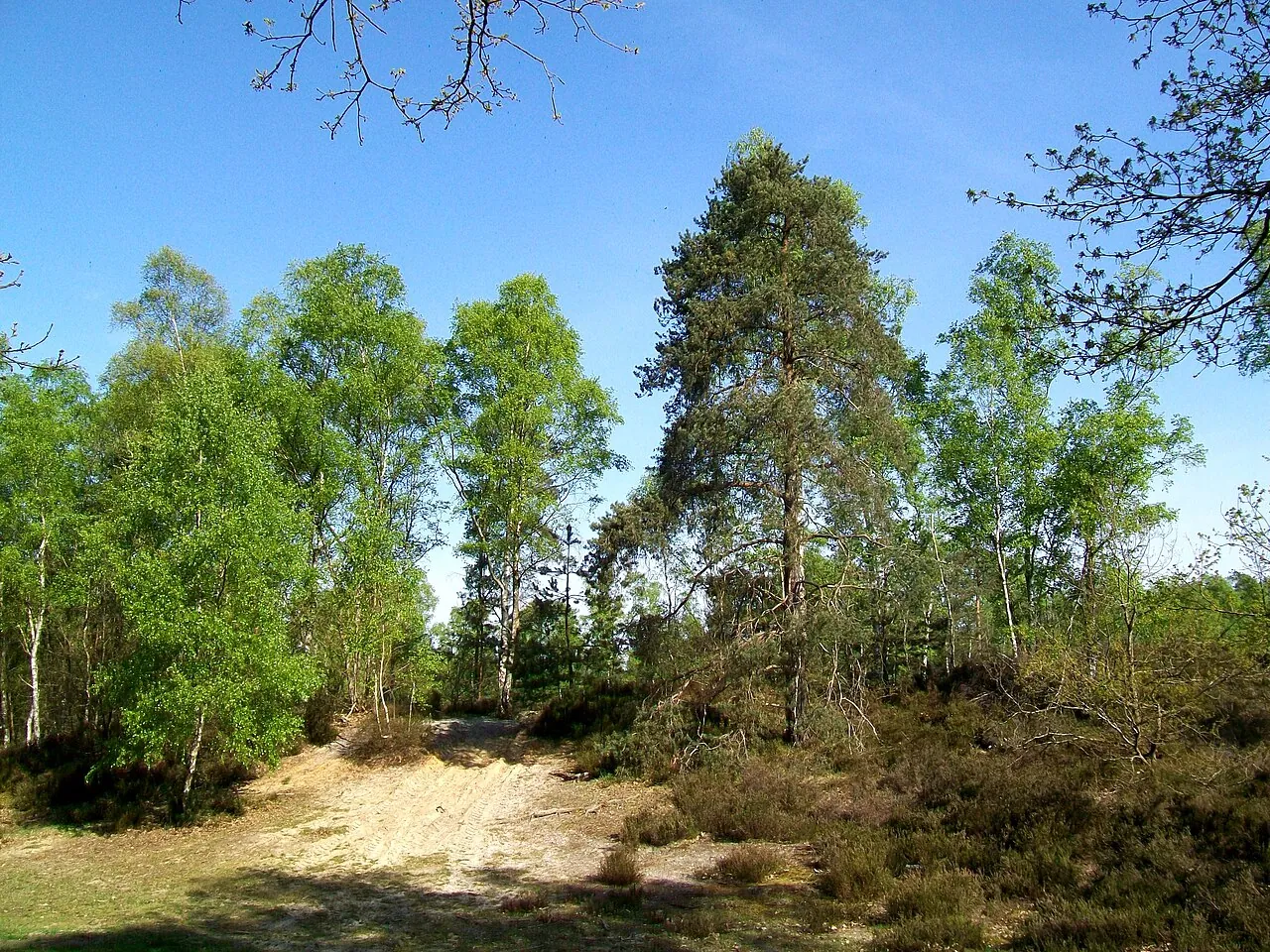 Vue de Péroy-les-Gombries