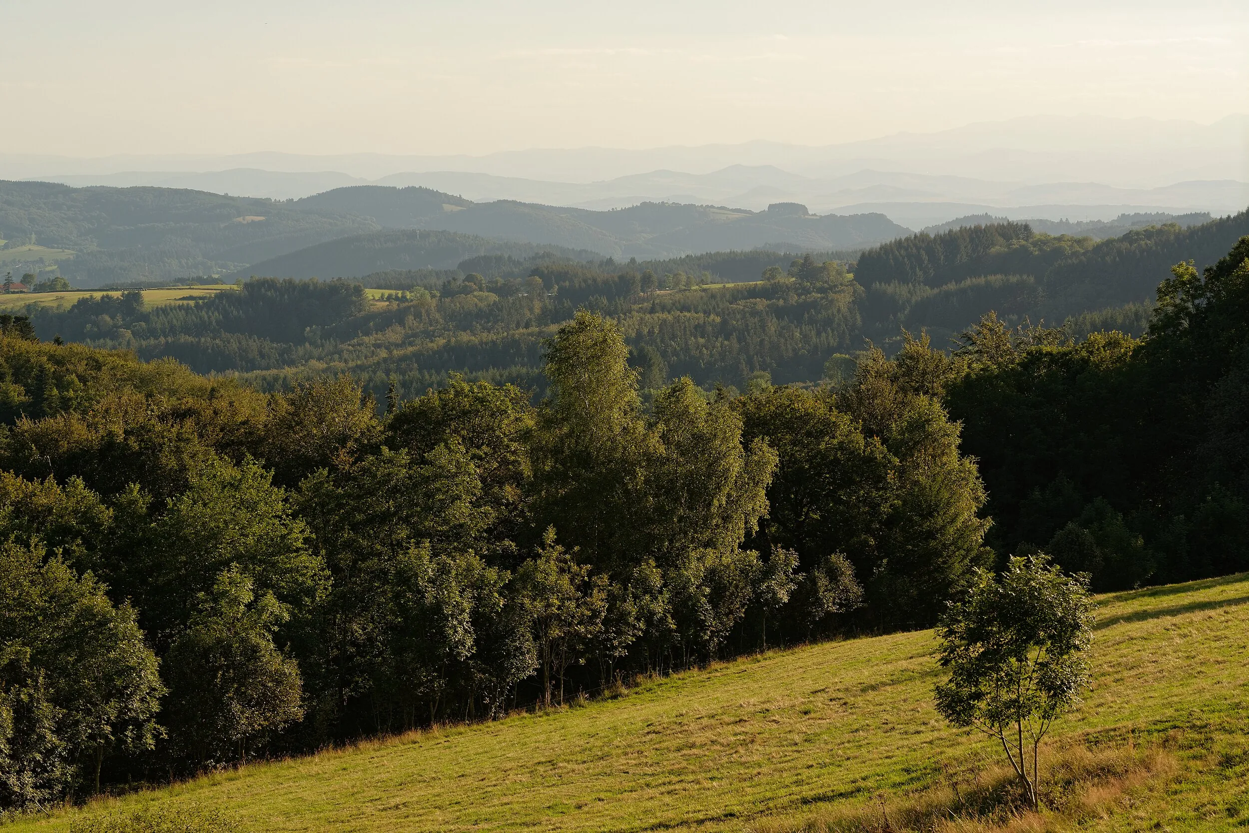 Vue de Celles-sur-Durolle