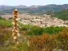 Vue de Arbus