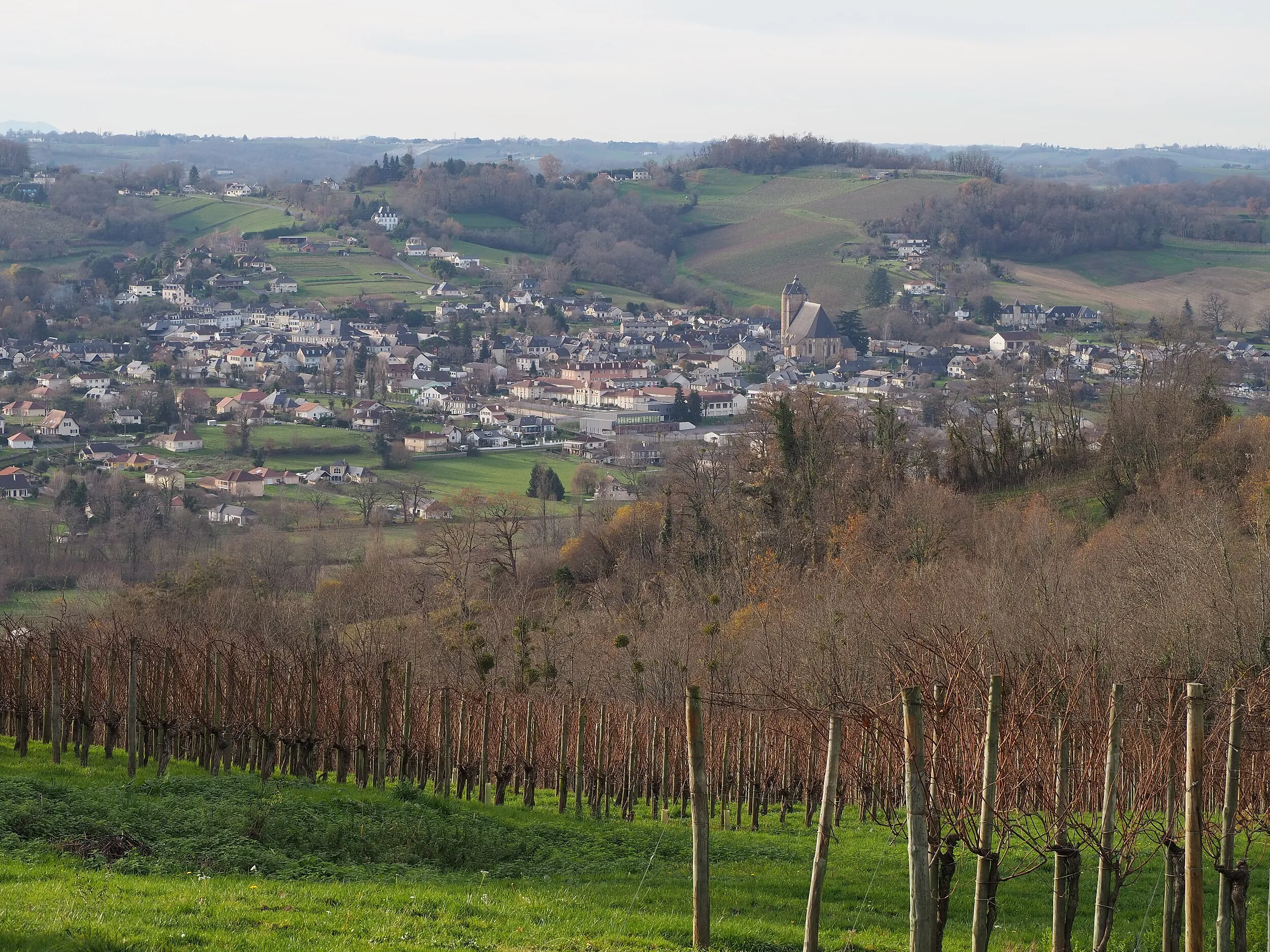 Vue de Monein