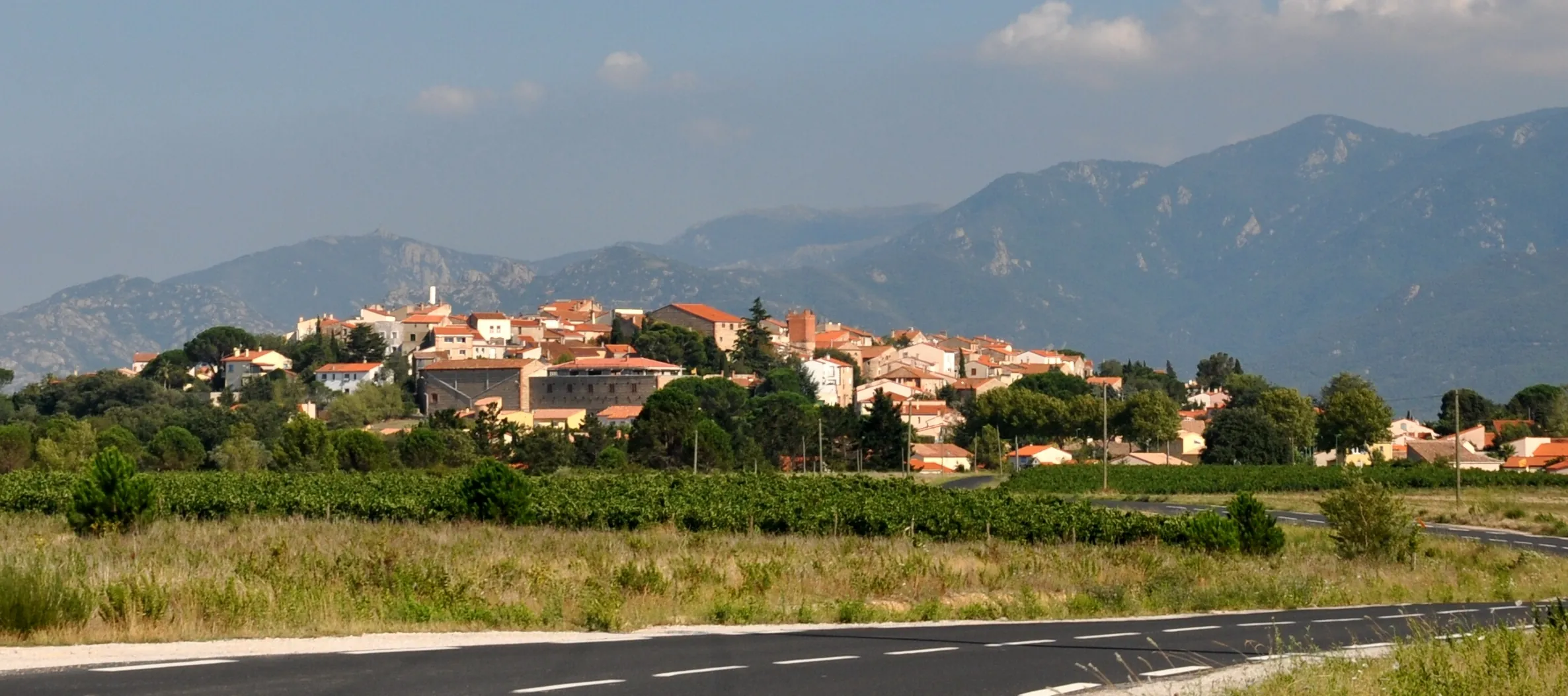 Vue de Banyuls-dels-Aspres