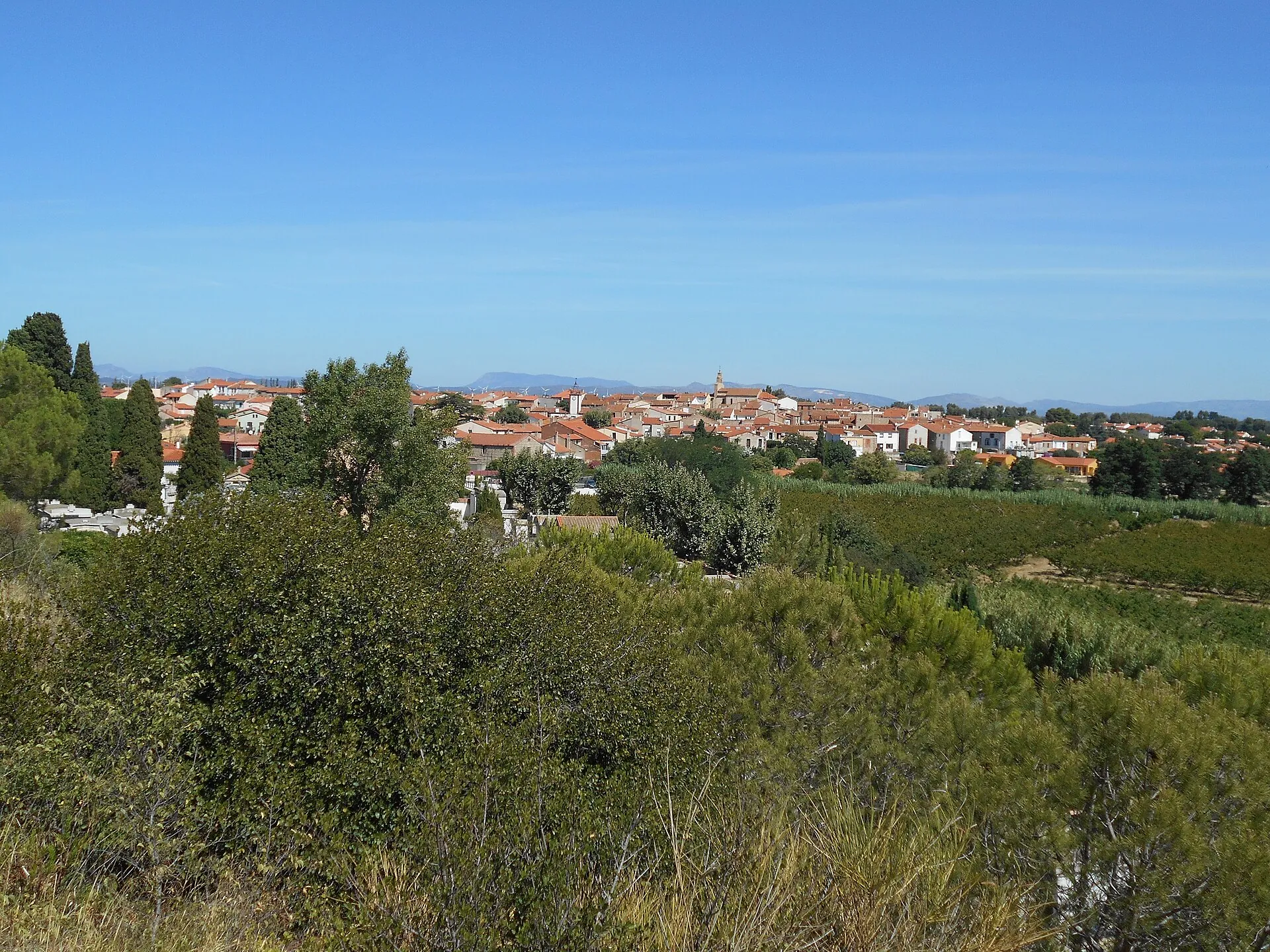 Vue de Canohès
