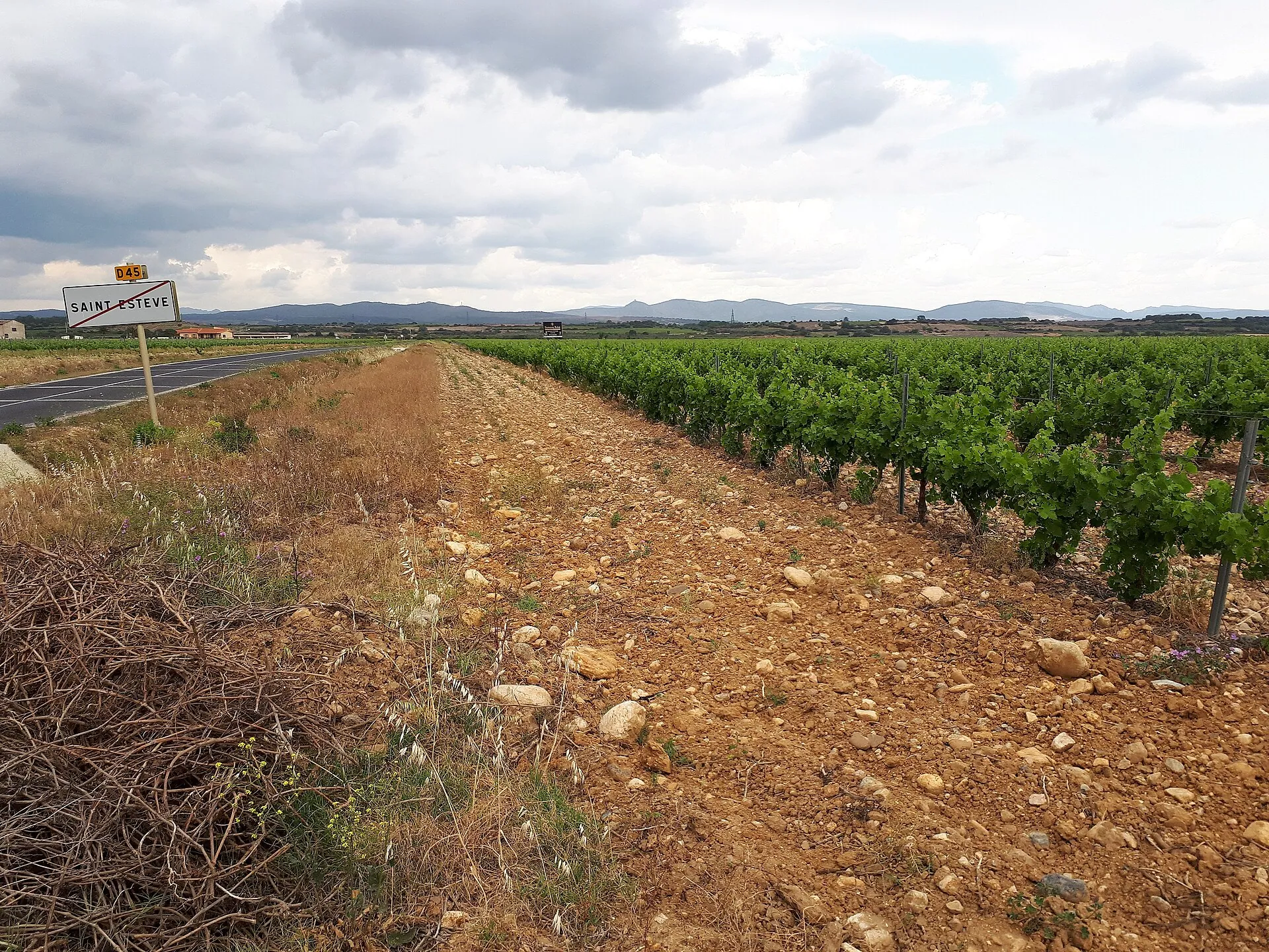 Vue de Saint-Estève