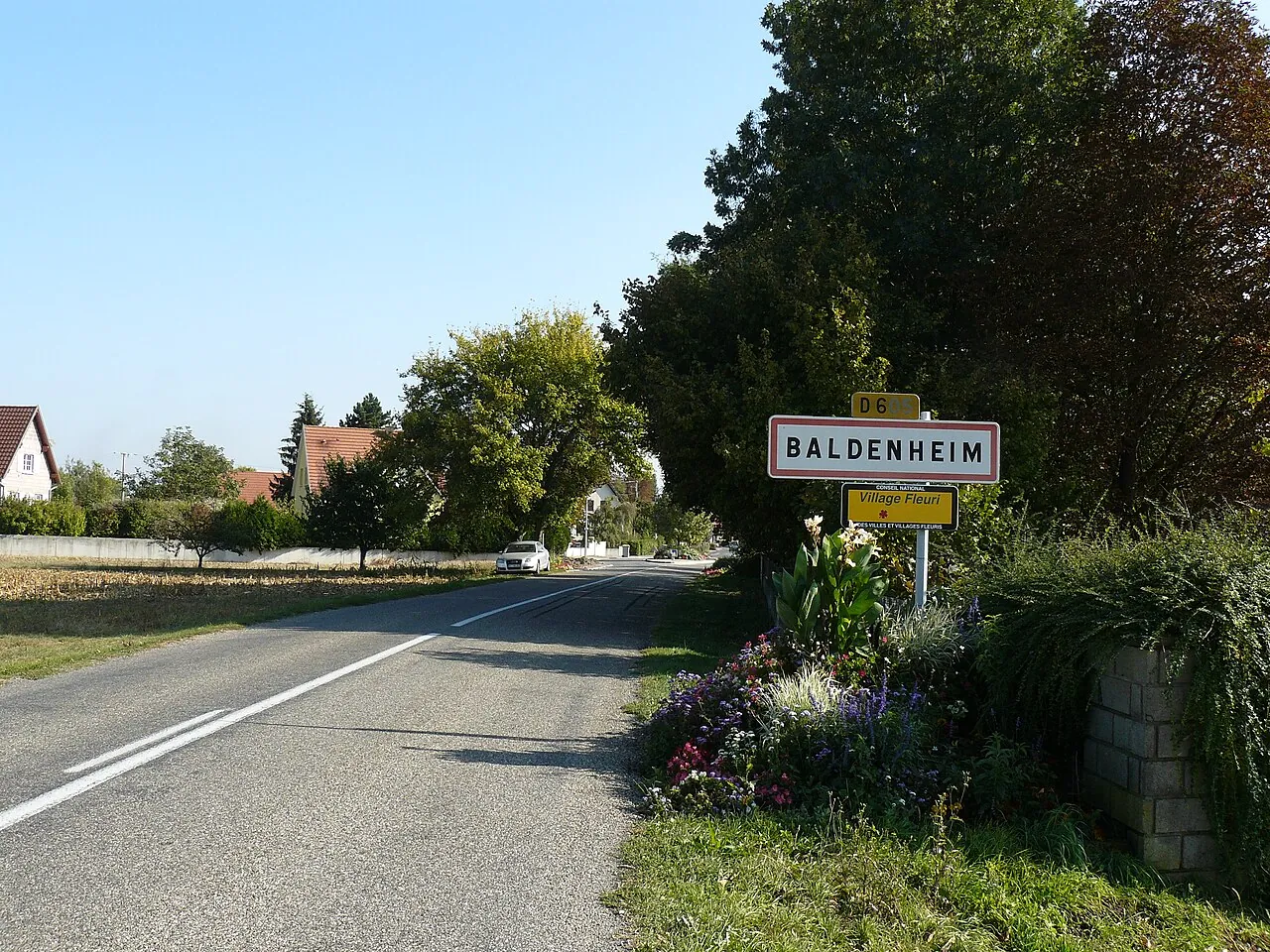 Vue de Baldenheim
