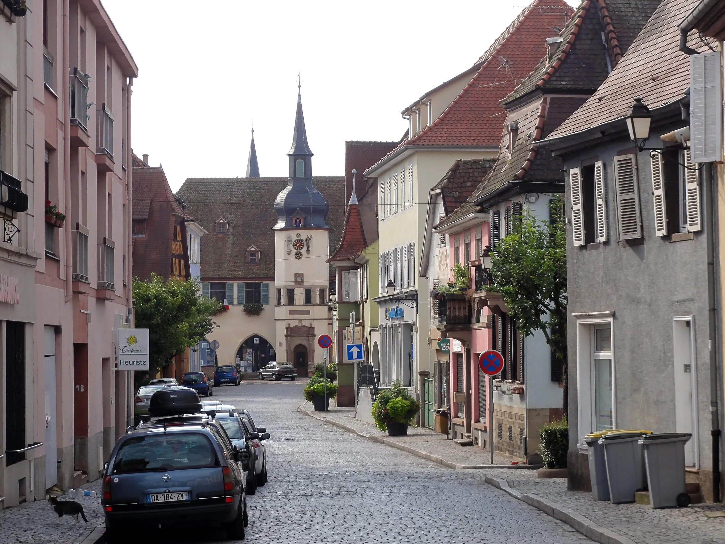 Vue de Benfeld