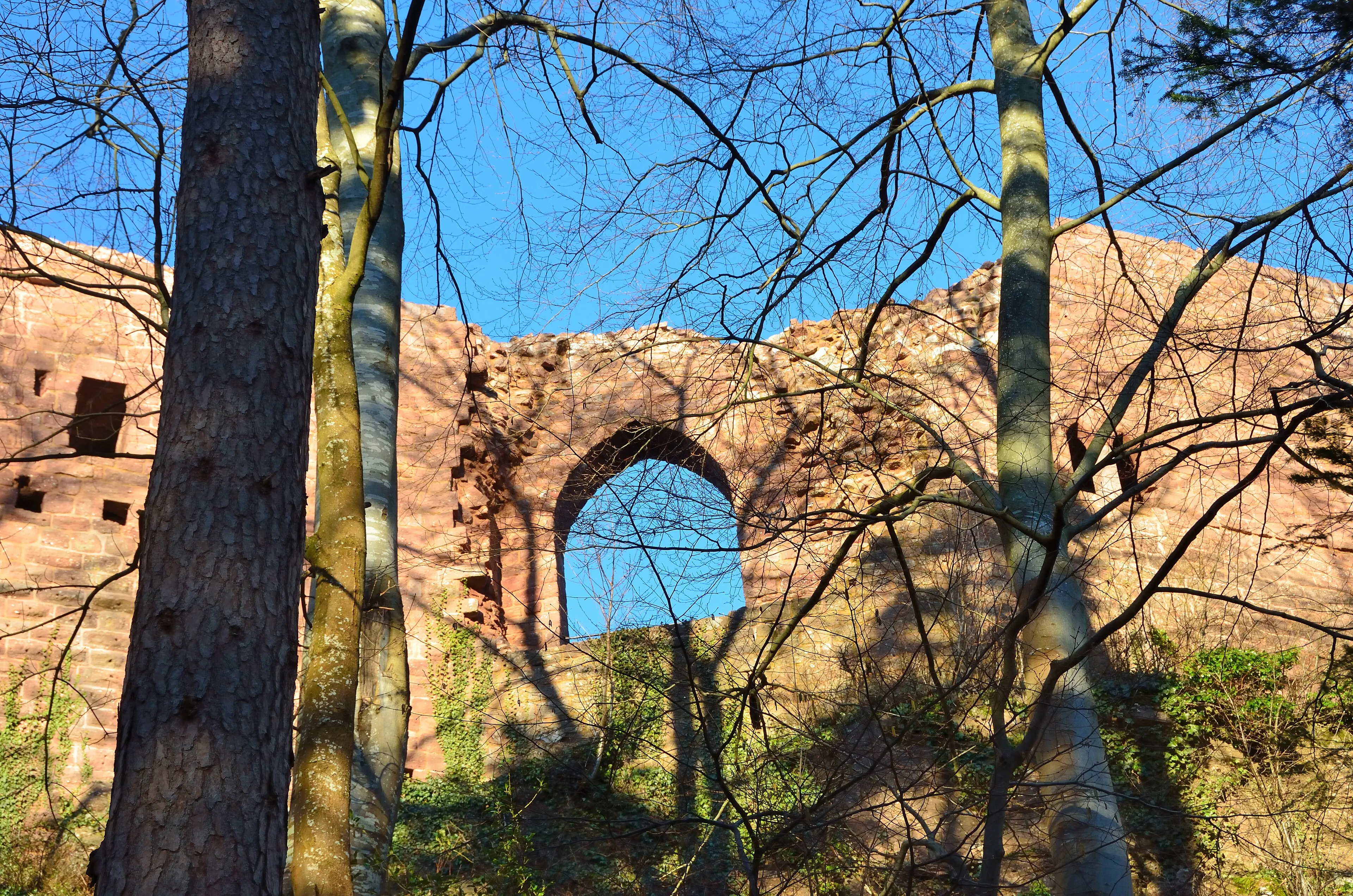 Vue de Wangenbourg-Engenthal
