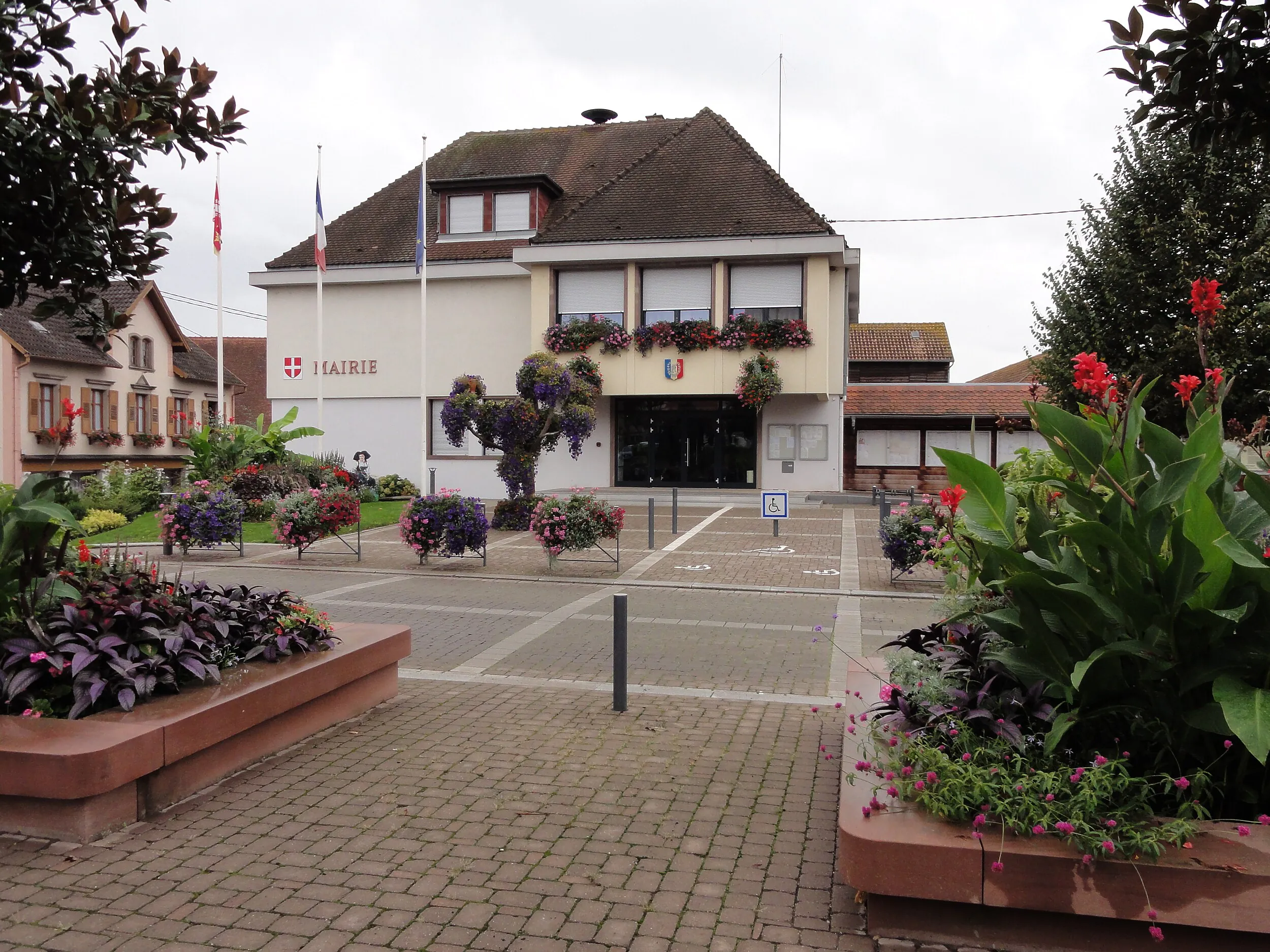 Vue de Mommenheim