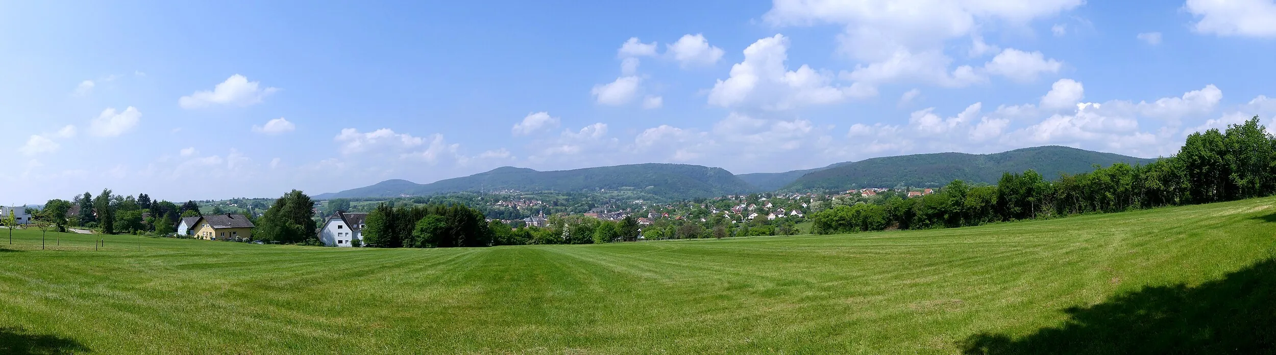 Vue de Niederbronn-les-Bains