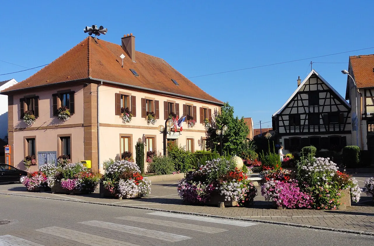 Vue de Niederschaeffolsheim