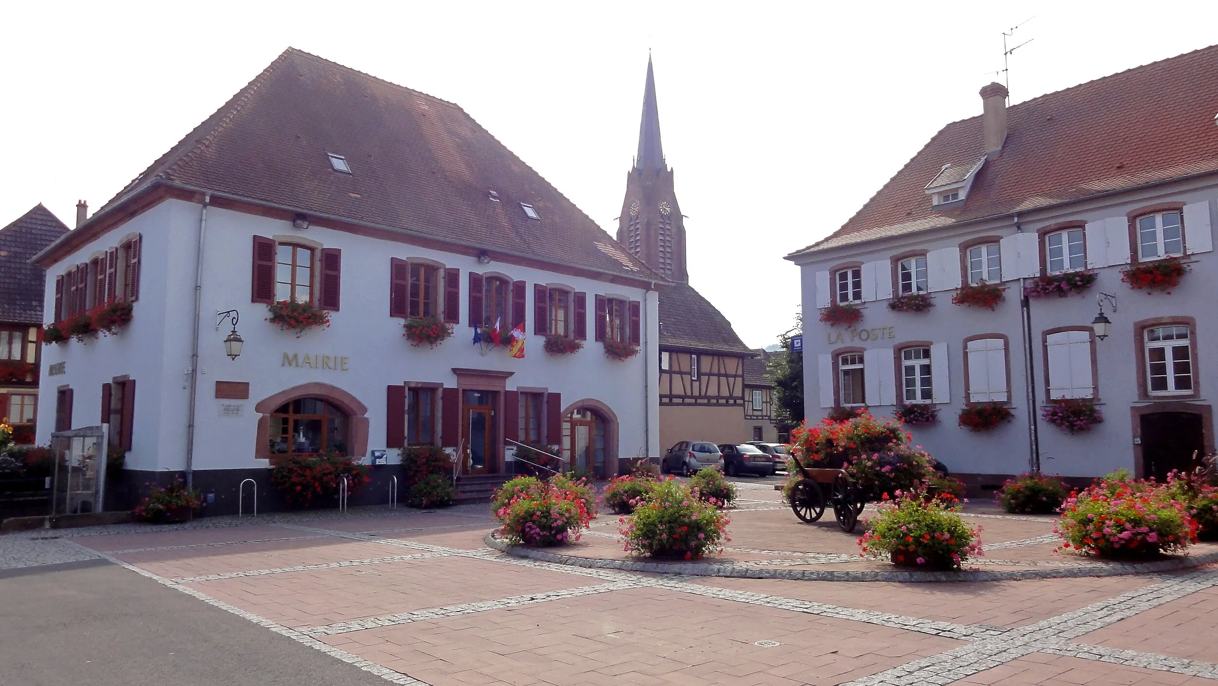 Vue de Scherwiller