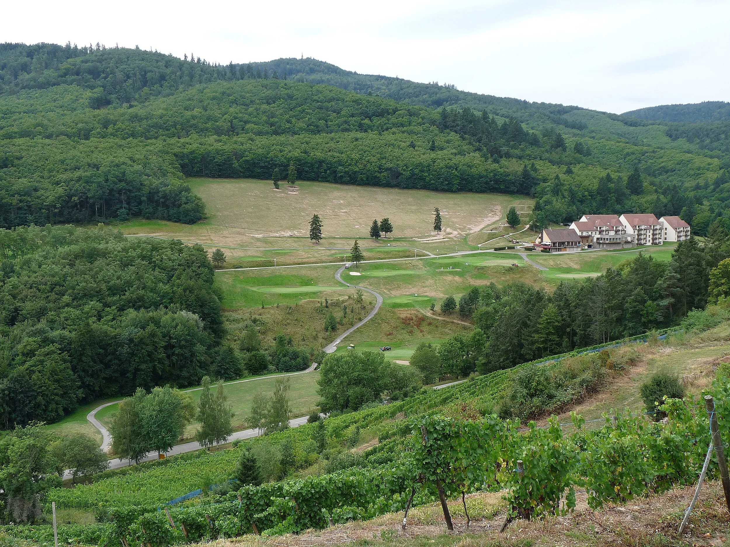 Vue de Ammerschwihr