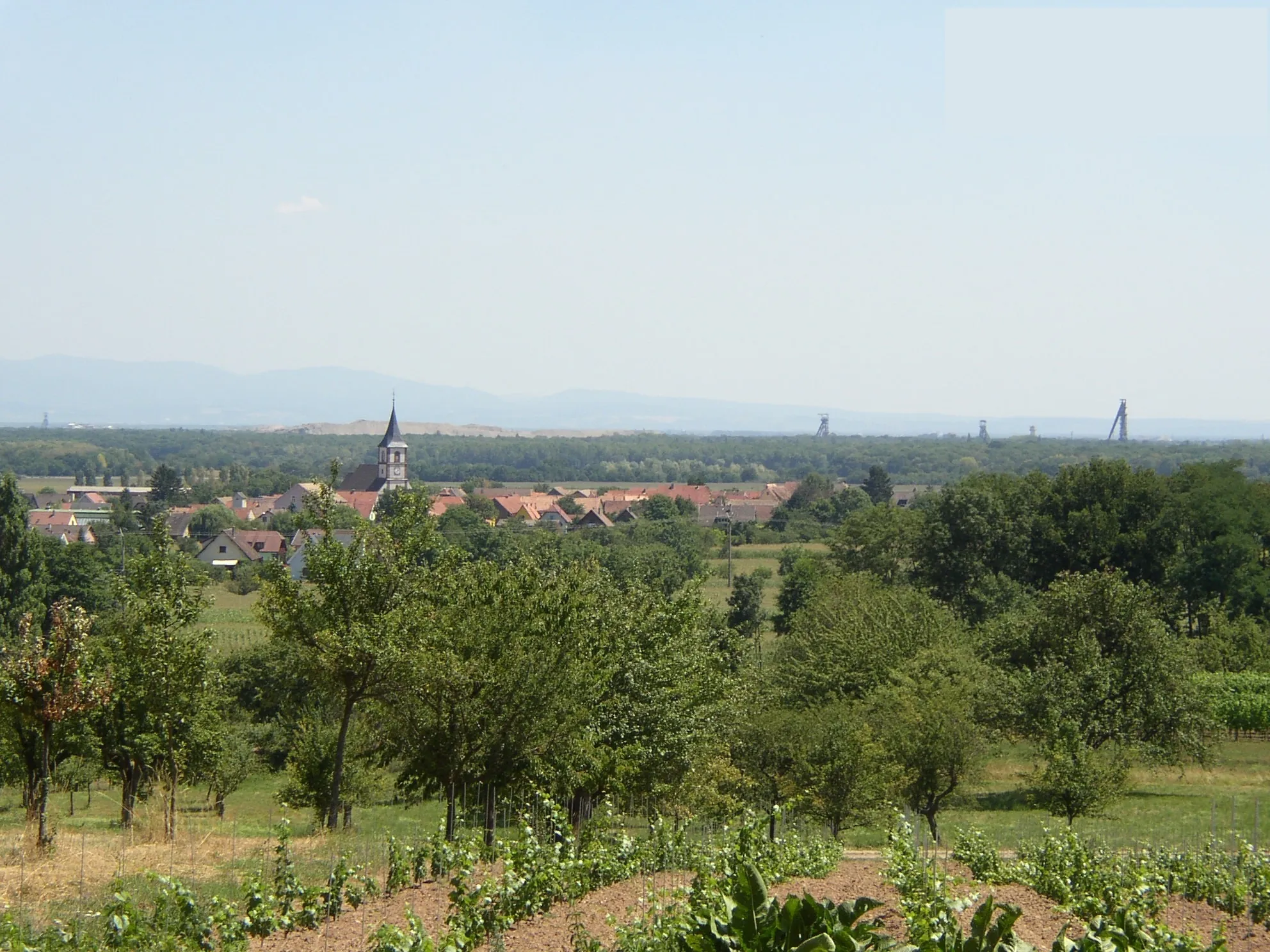 Vue de Berrwiller