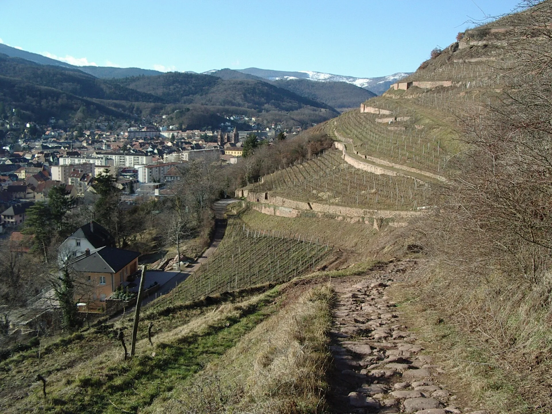 Vue de Guebwiller