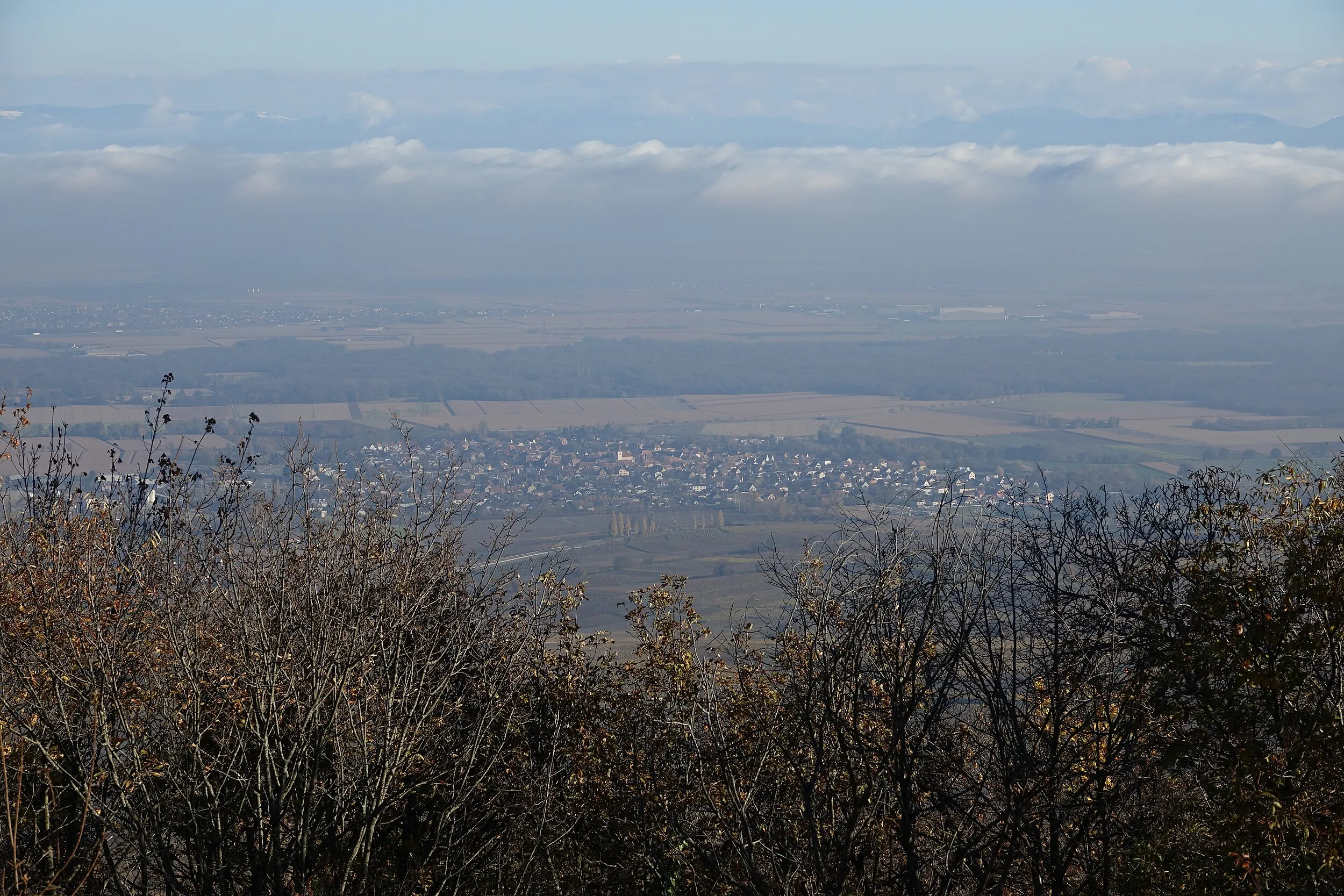 Vue de Herrlisheim-près-Colmar