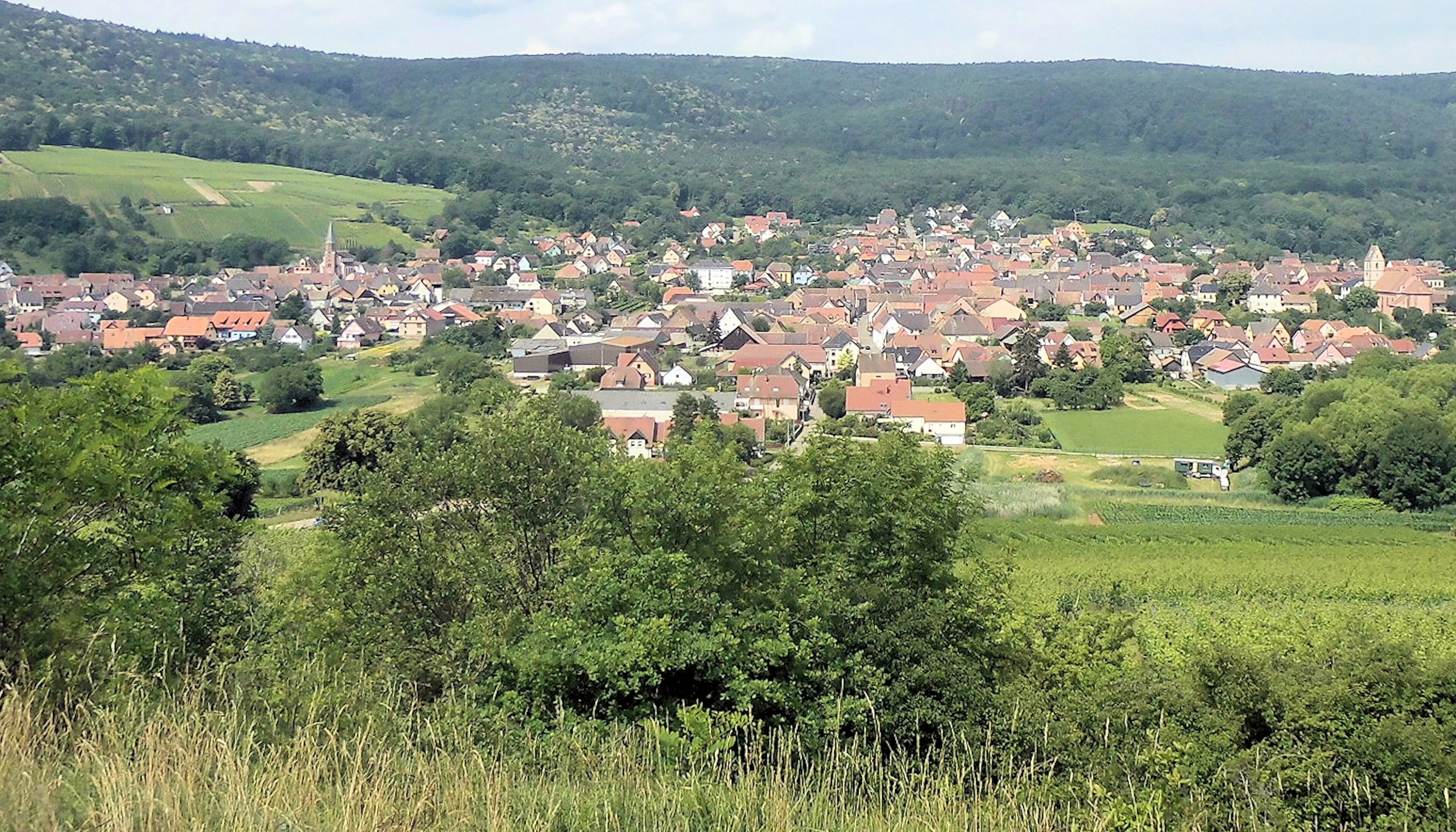 Vue de Orschwihr