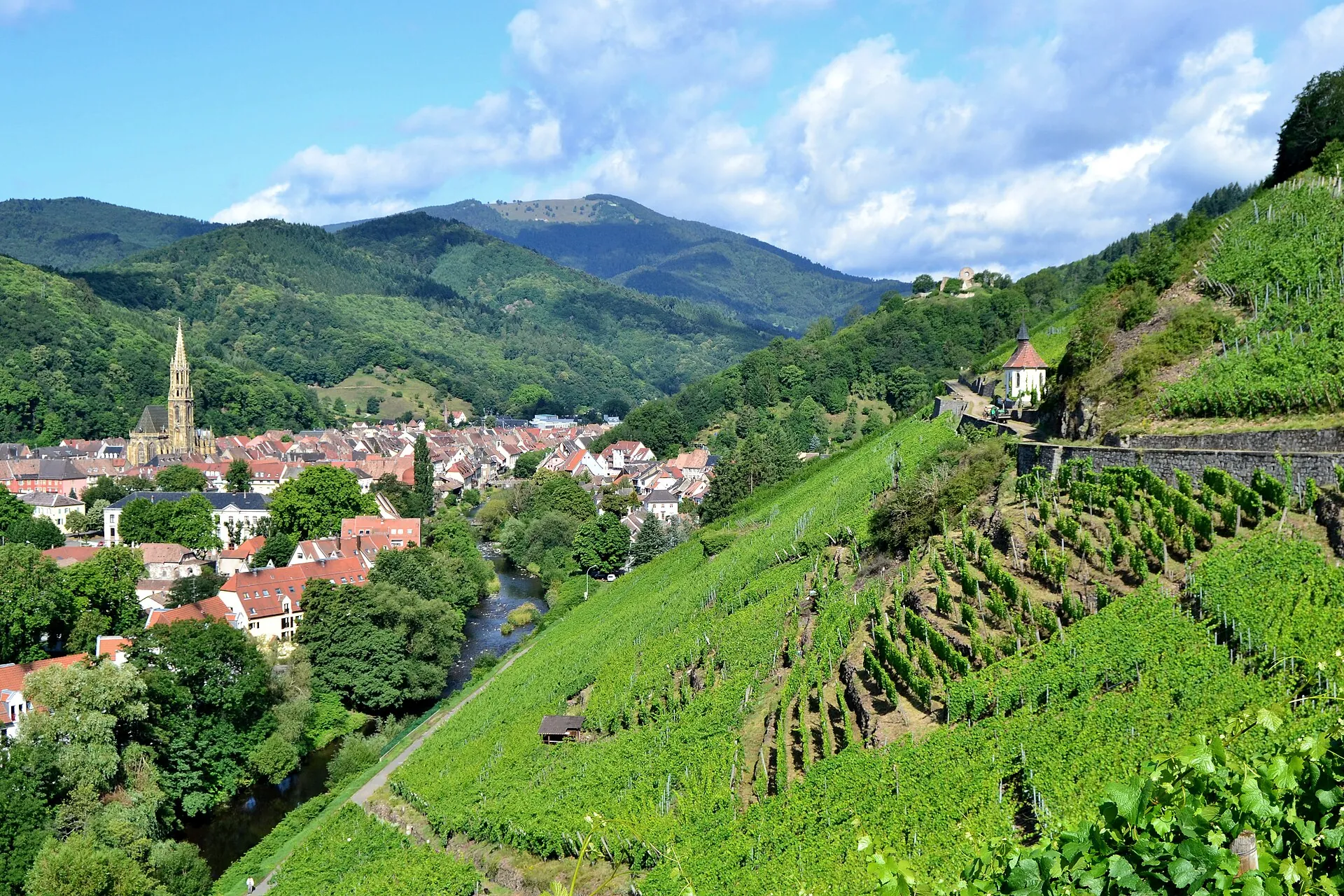 Vue de Thann