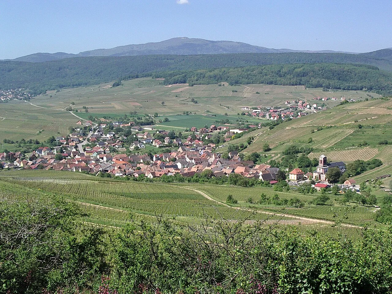 Vue de Westhalten