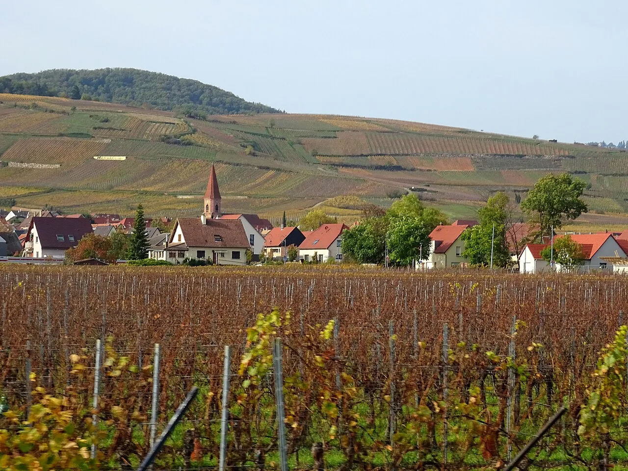 Vue de Wettolsheim