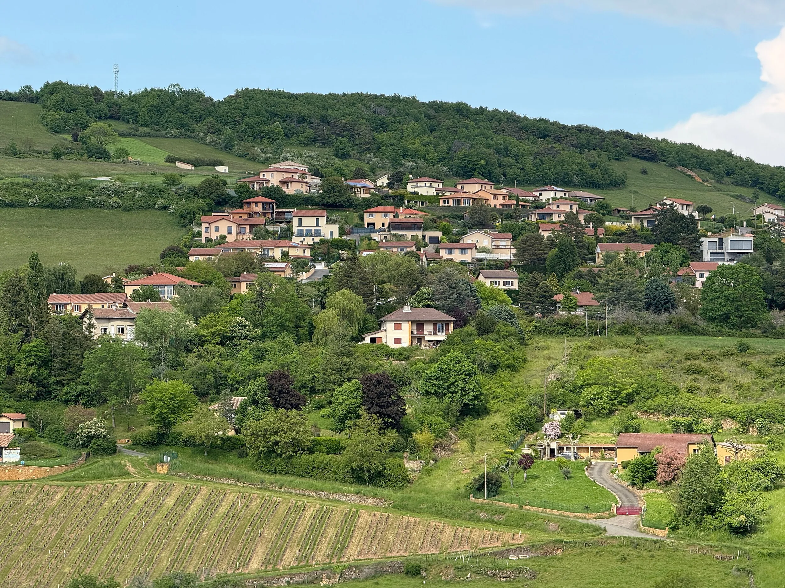 Vue de Val d'Oingt