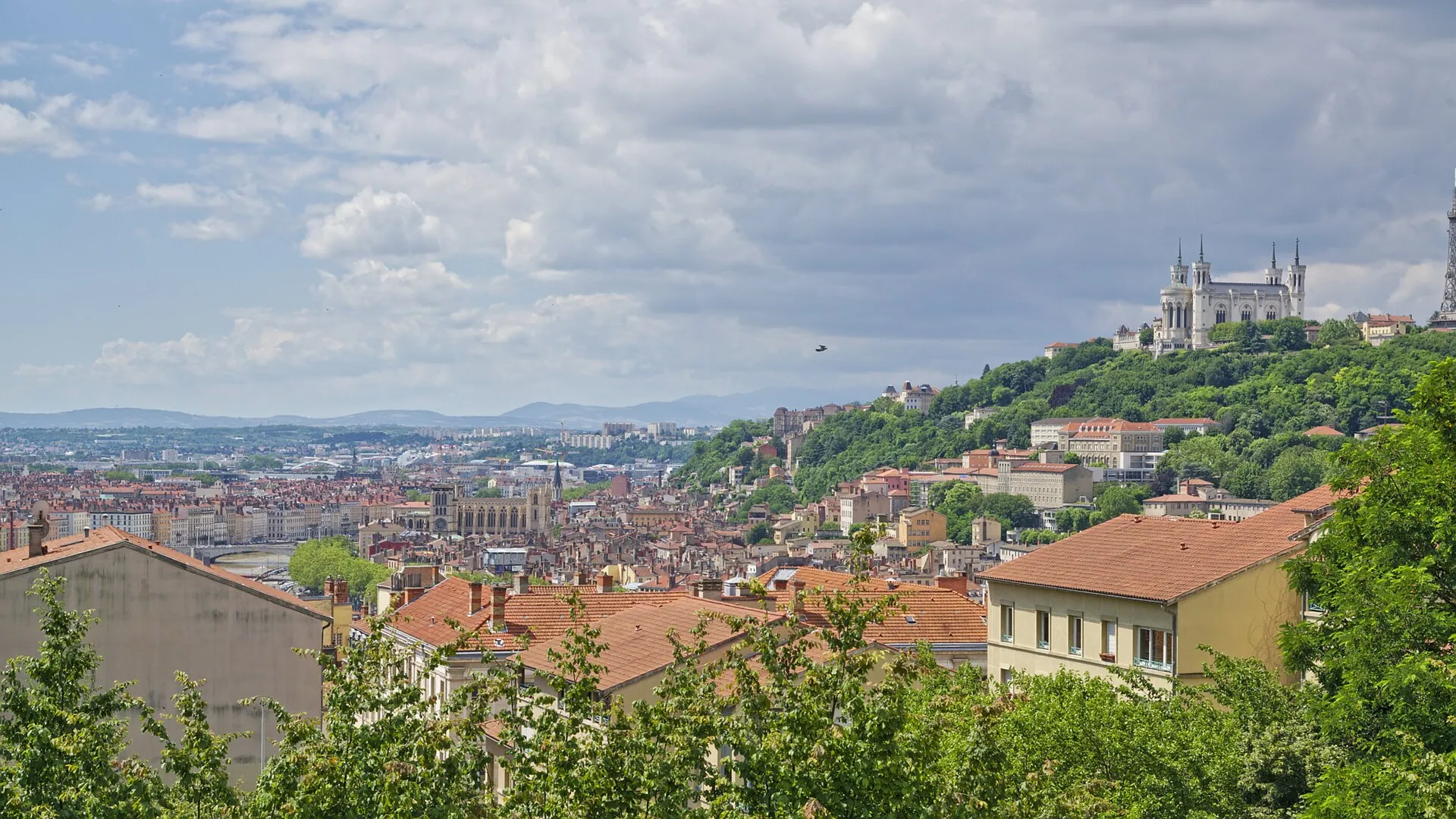 Vue de Lyon