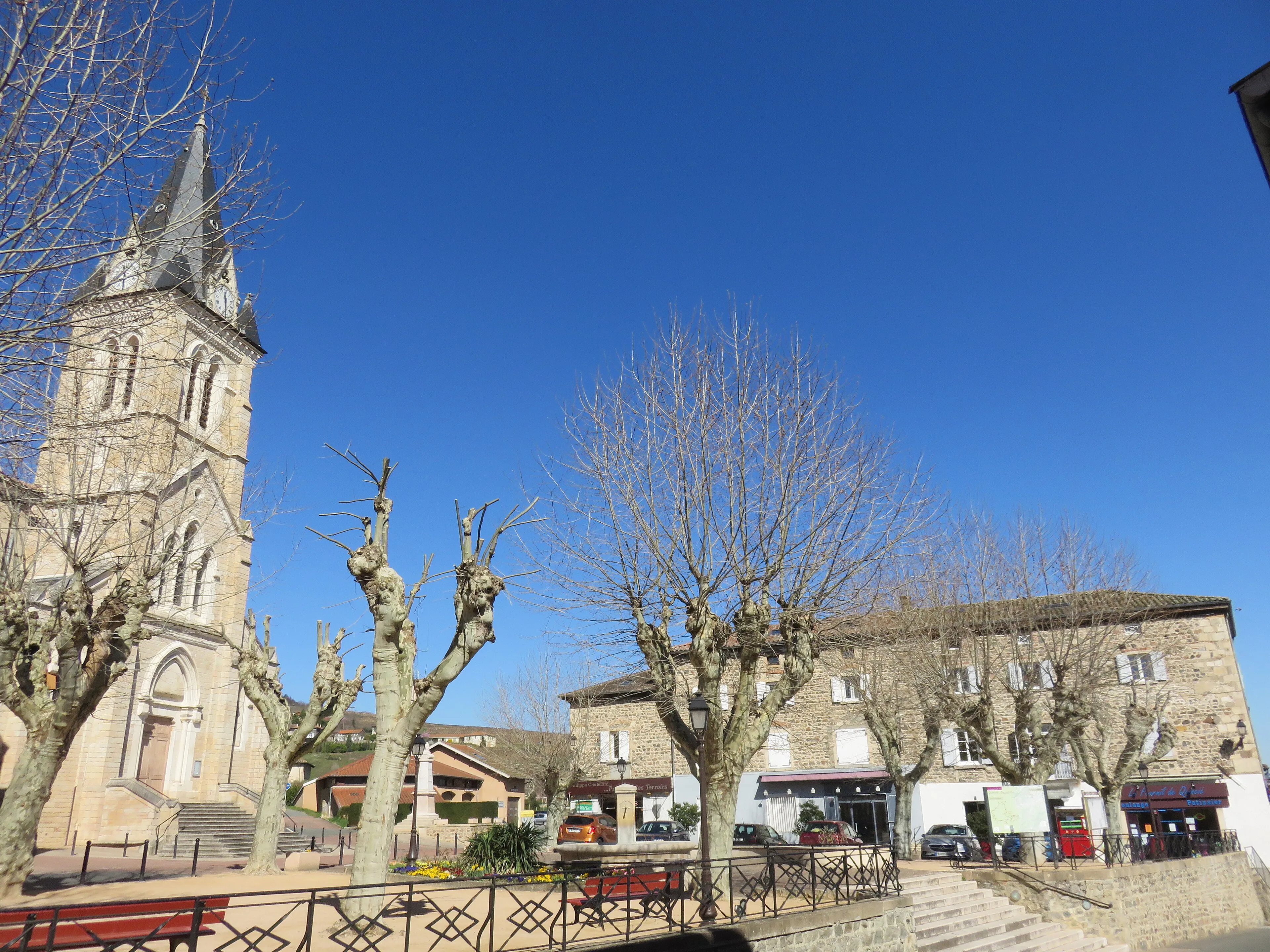 Vue de Quincié-en-Beaujolais