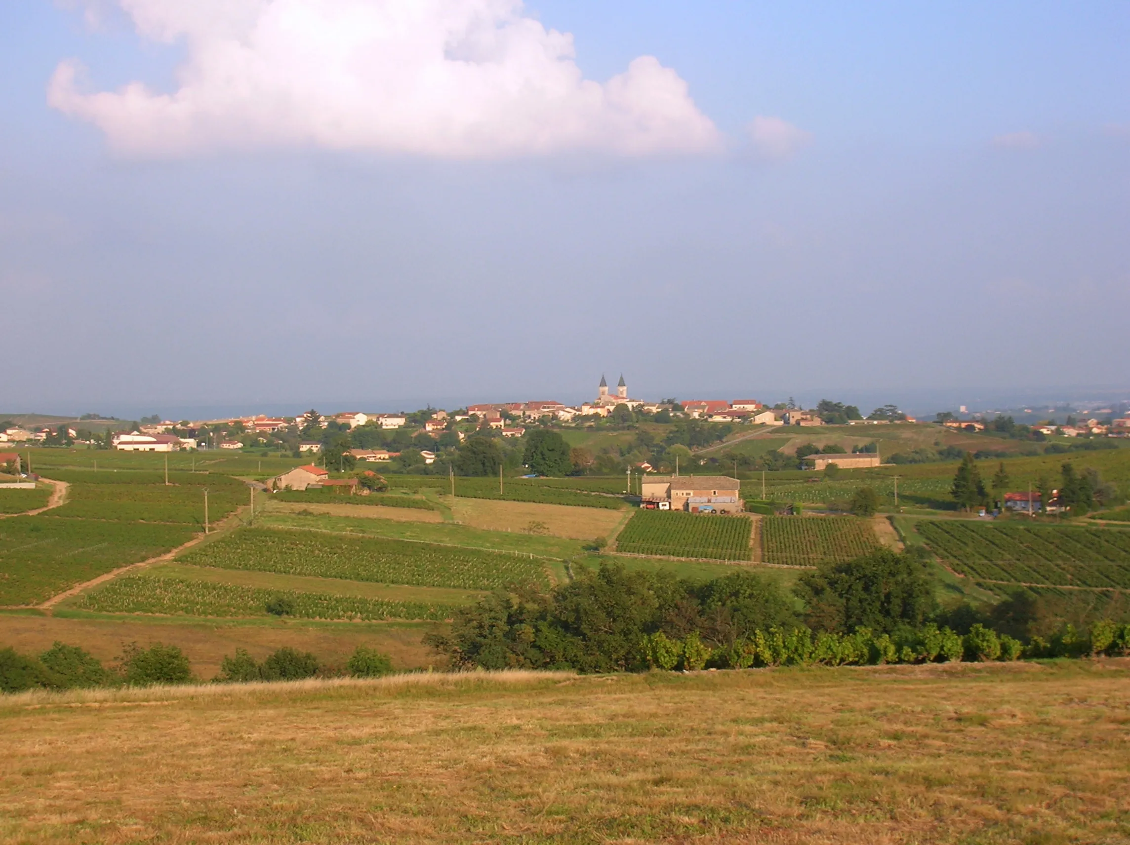 Vue de Régnié-Durette