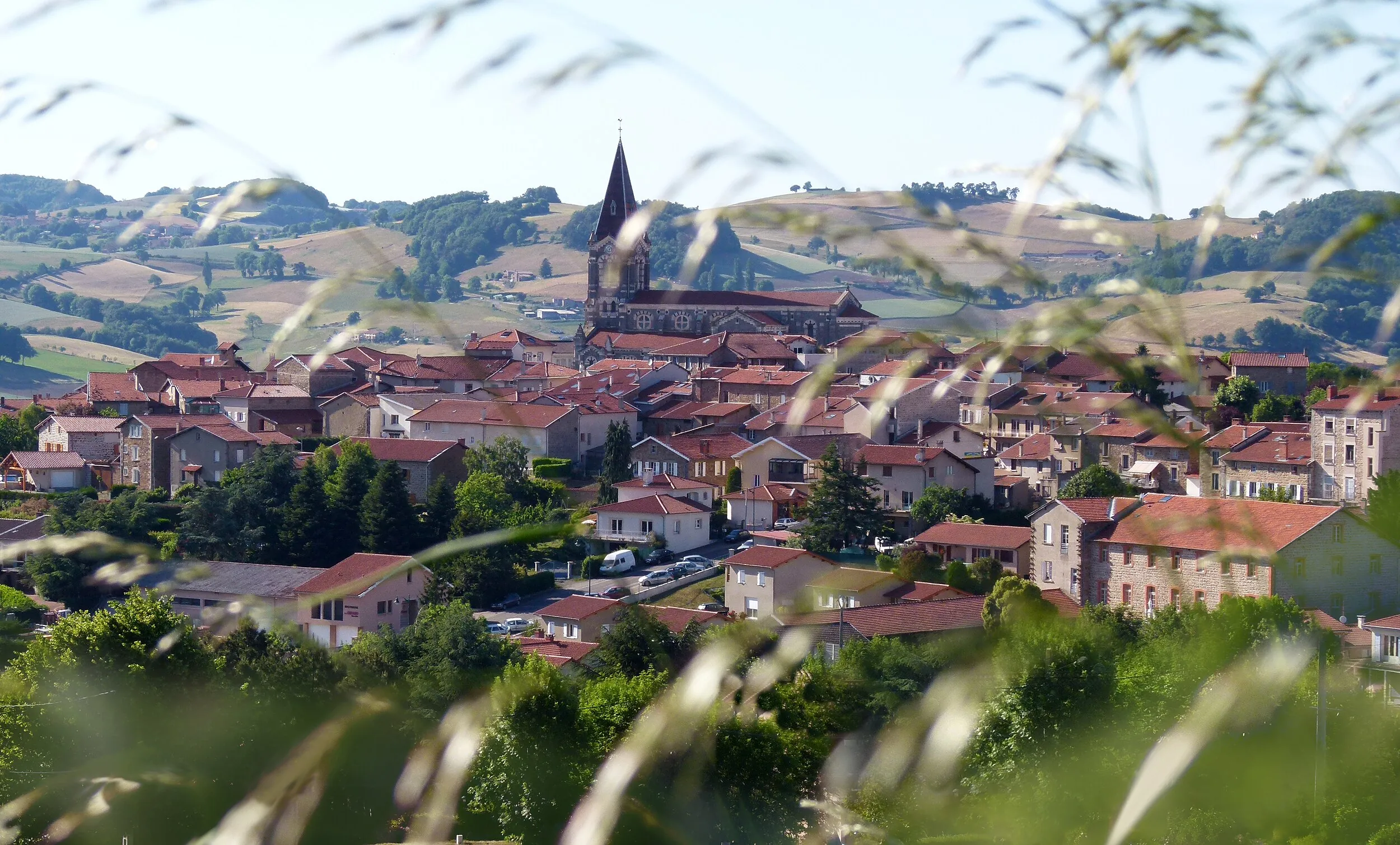 Vue de Saint-Martin-en-Haut