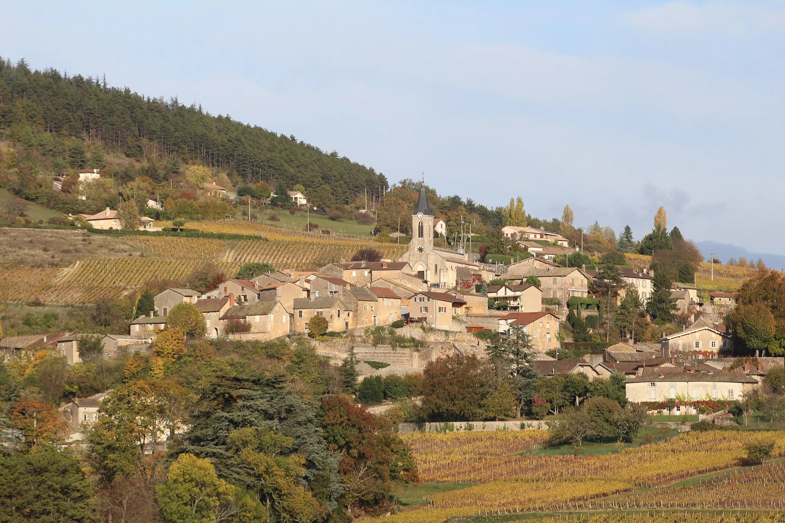 Vue de La Roche-Vineuse