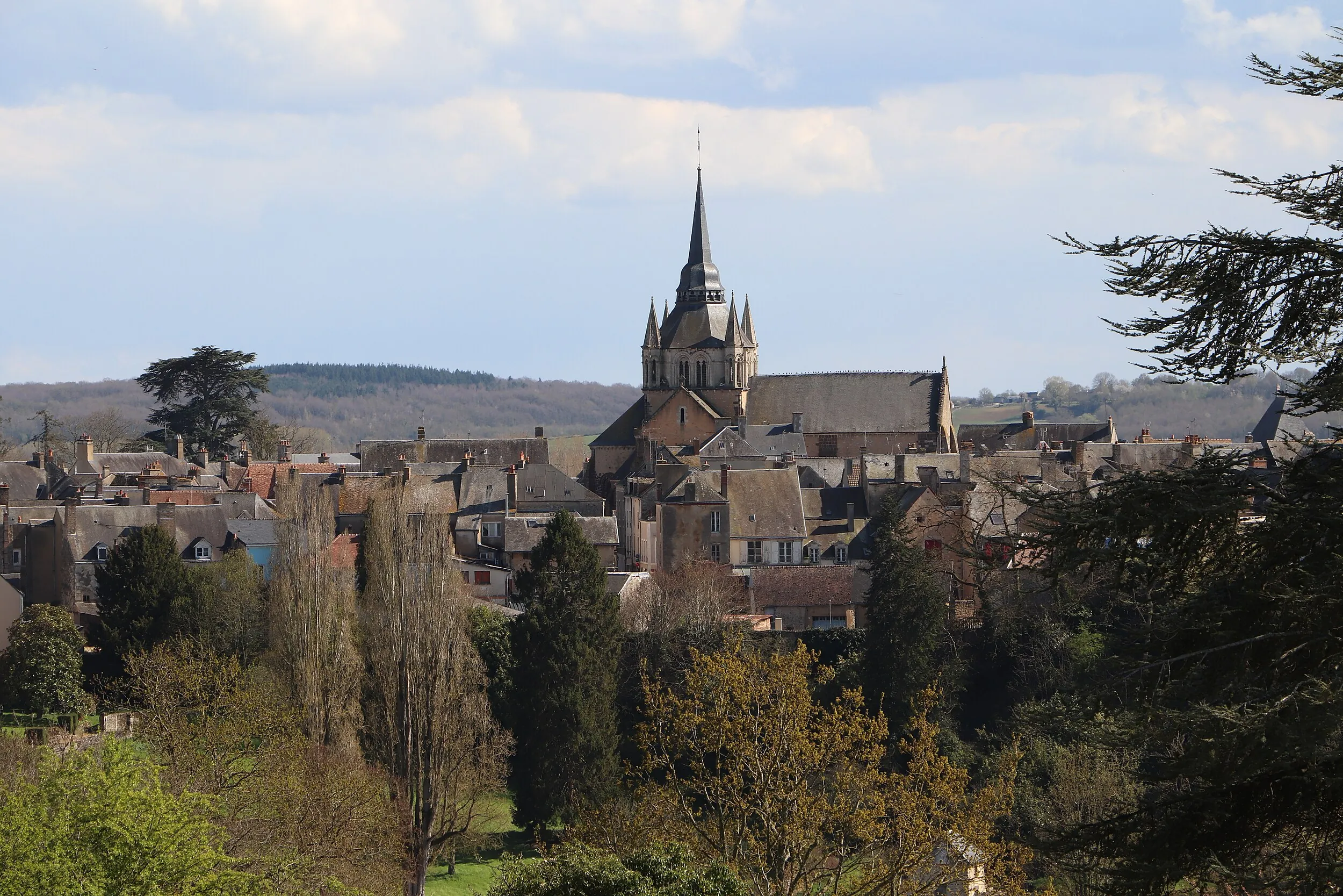 Vue de Fresnay-sur-Sarthe