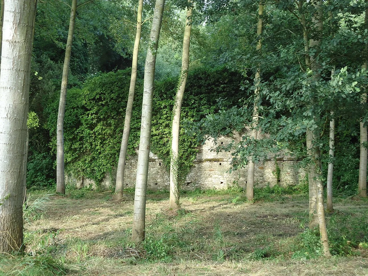 Vue de Oizé