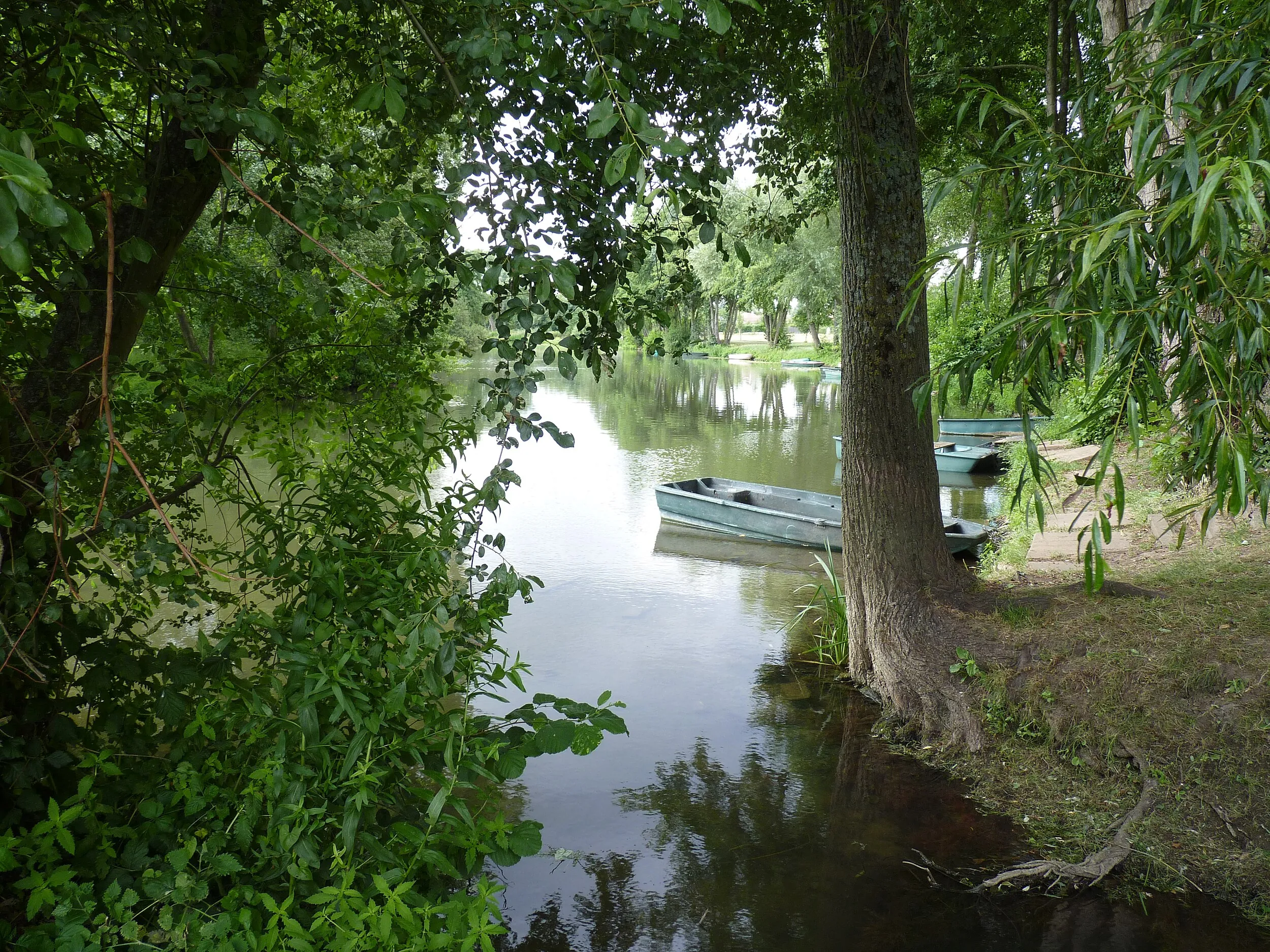 Vue de Saint-Pavace