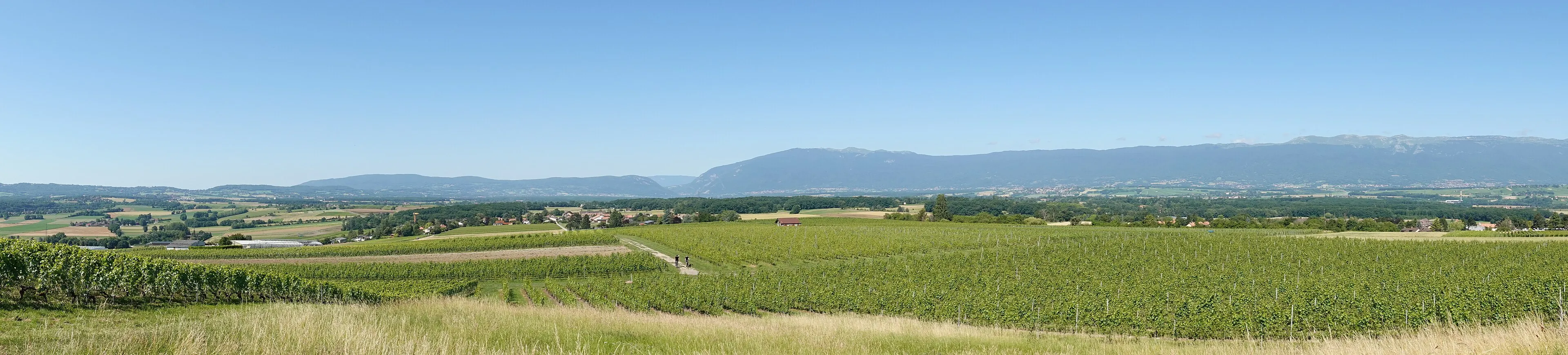 Vue de Bernex