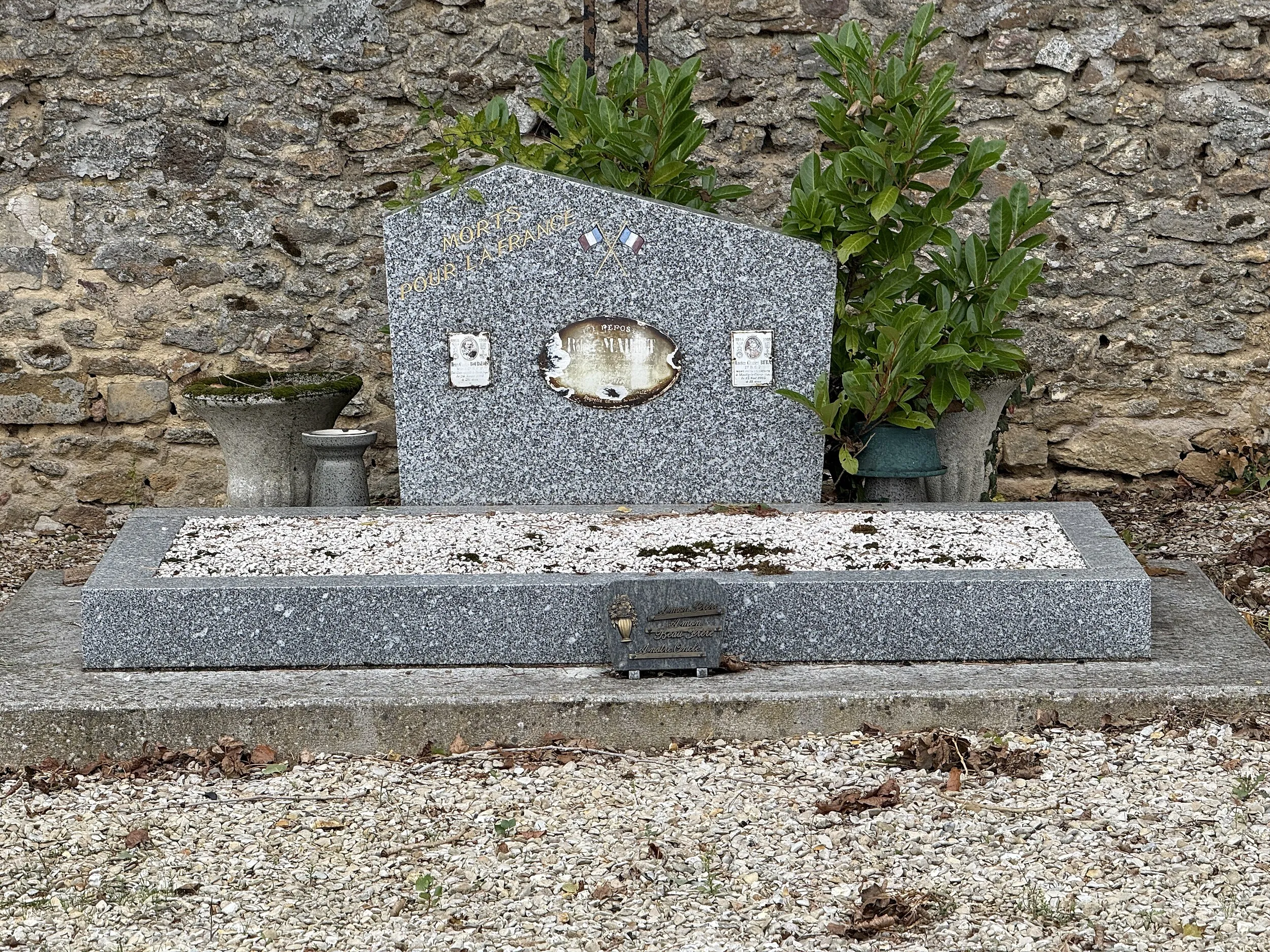 Vue de Courpalay