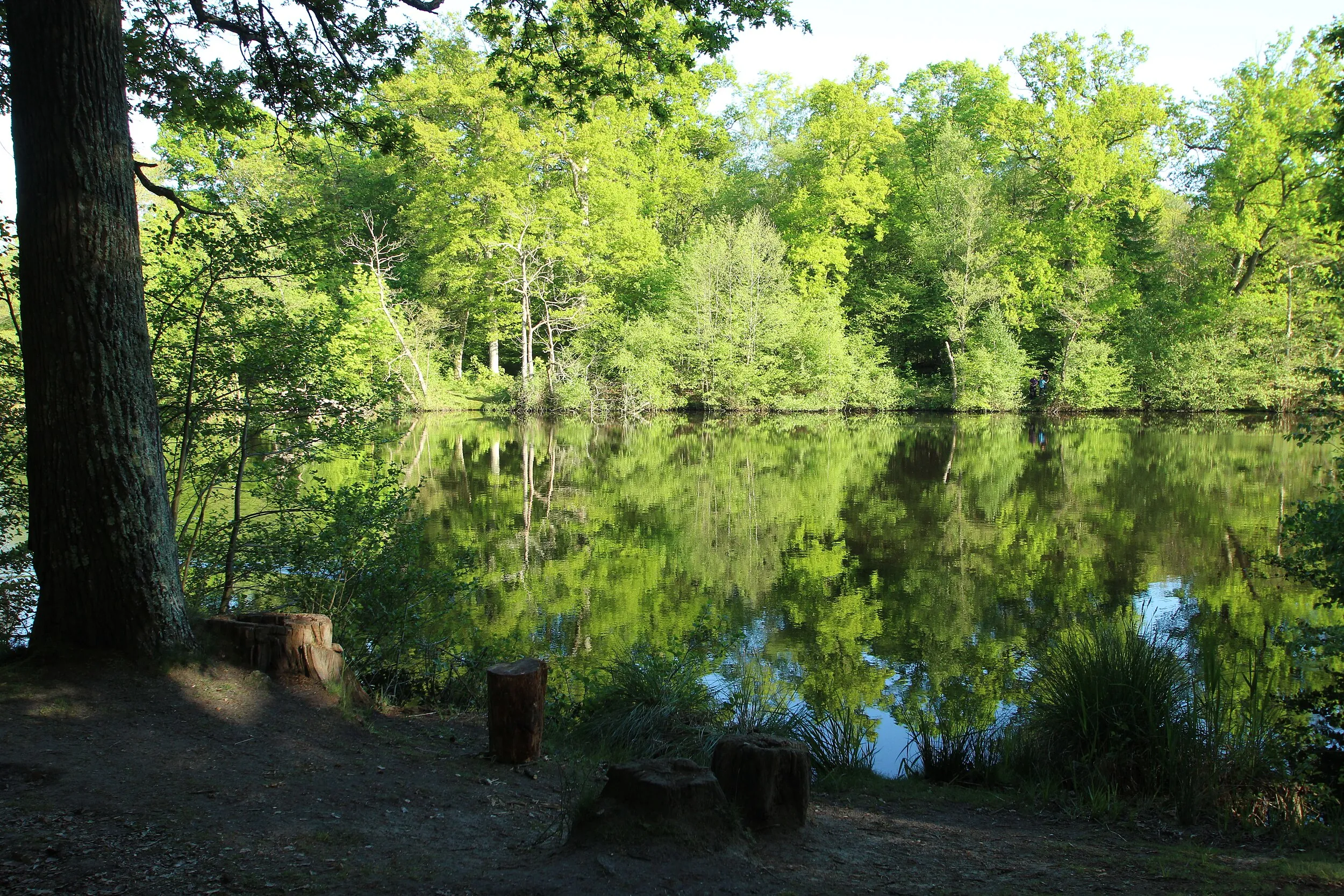 Vue de Auffargis