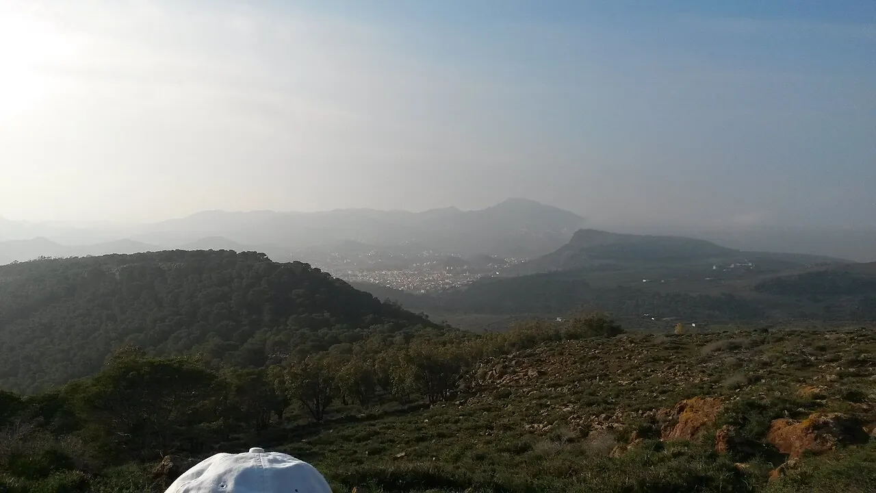 Vue de Montans