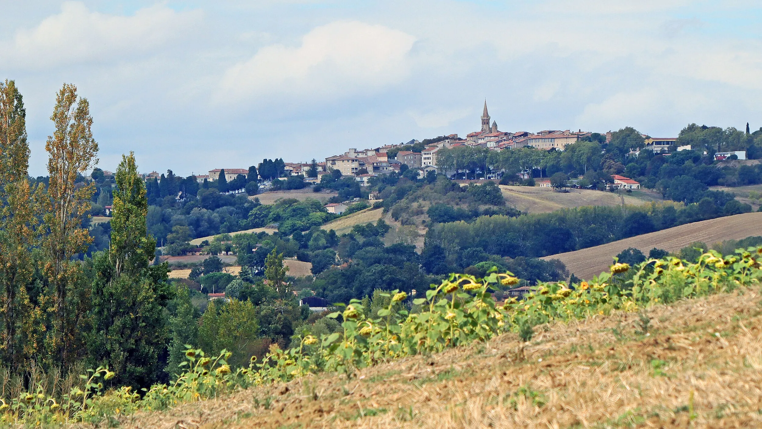 Vue de Puylaurens